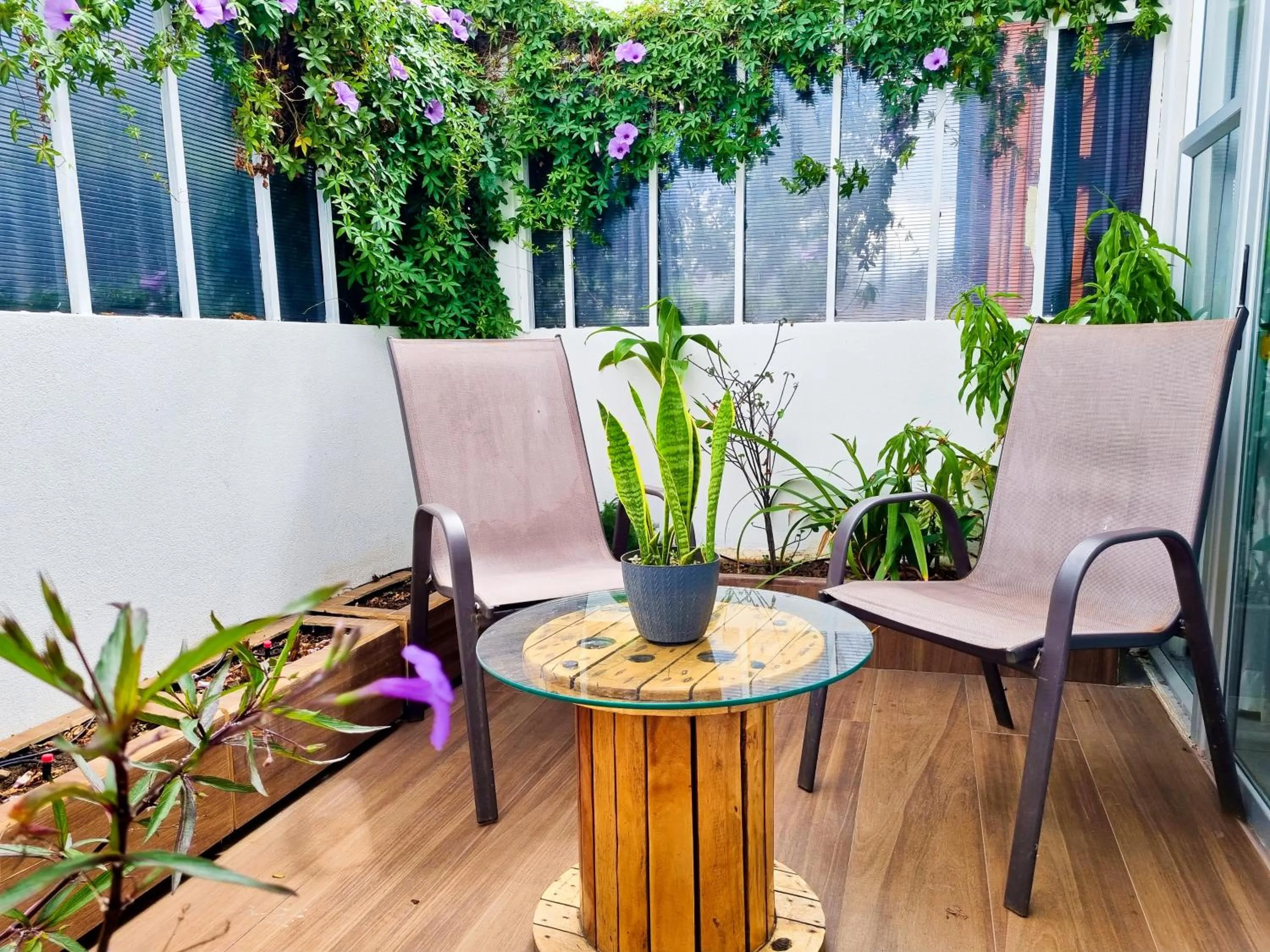 Garden in 714 Studios