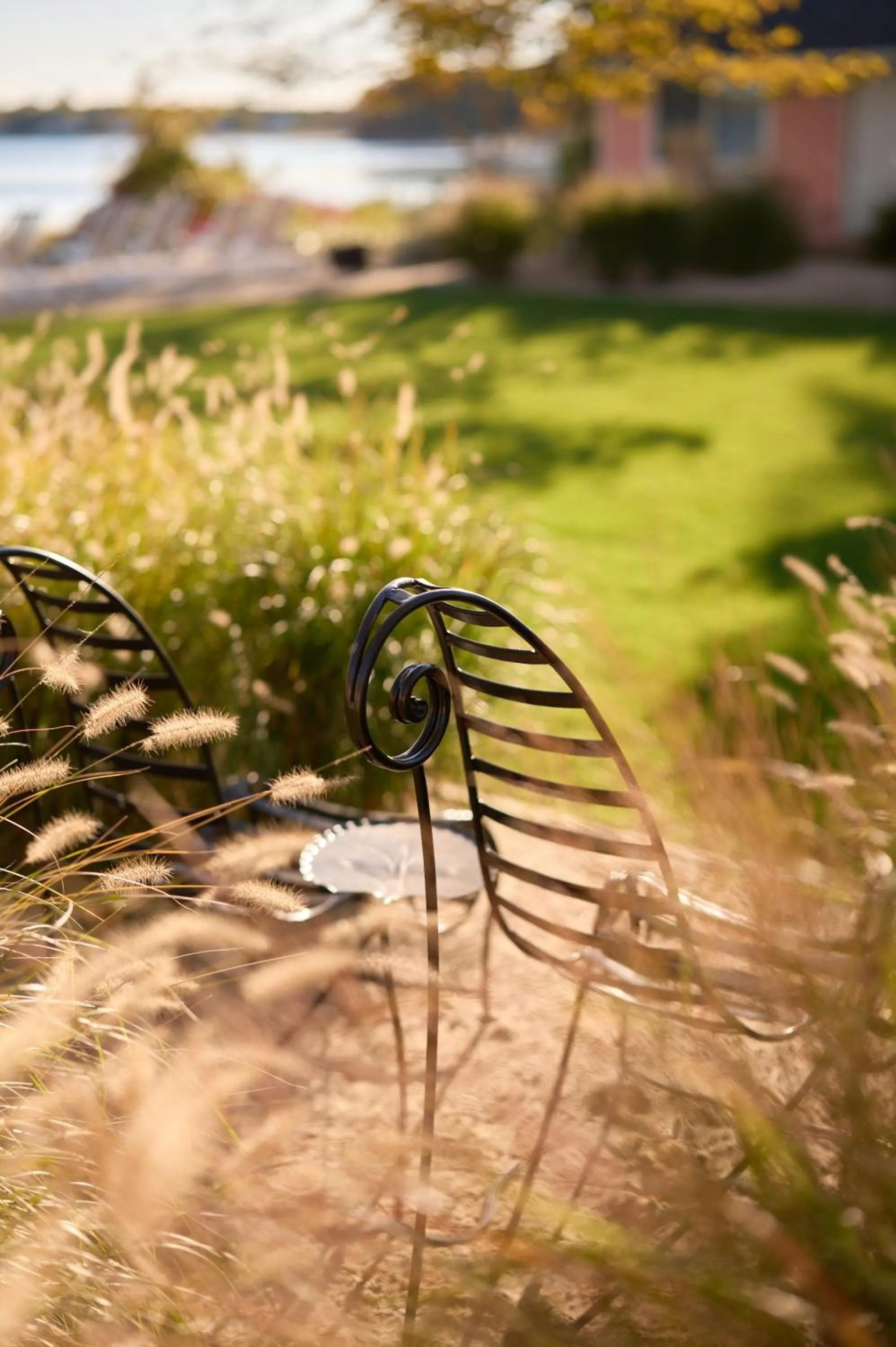 Day in Silver Sands Motel & Beach Bungalows