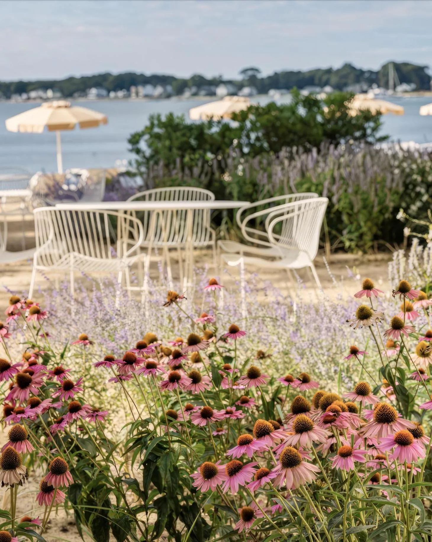 Restaurant/places to eat in Silver Sands Motel & Beach Bungalows