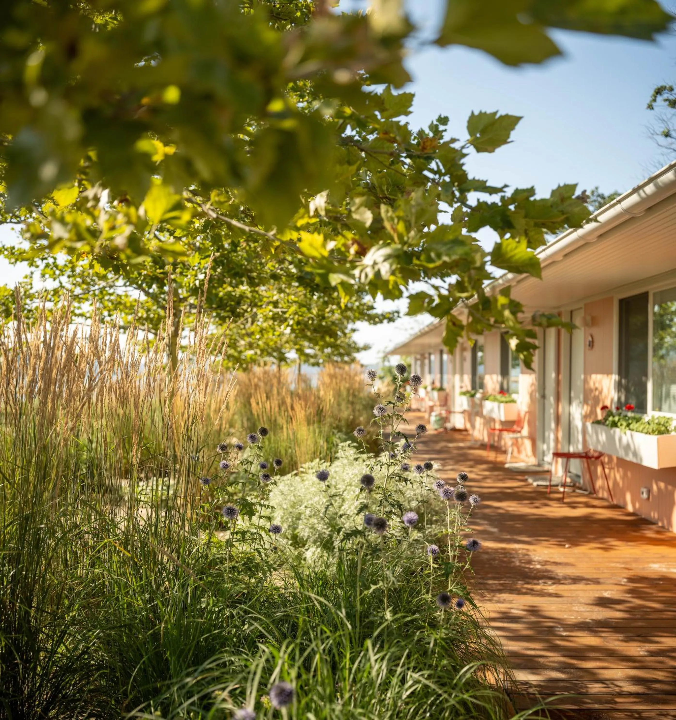 Natural landscape in Silver Sands Motel & Beach Bungalows