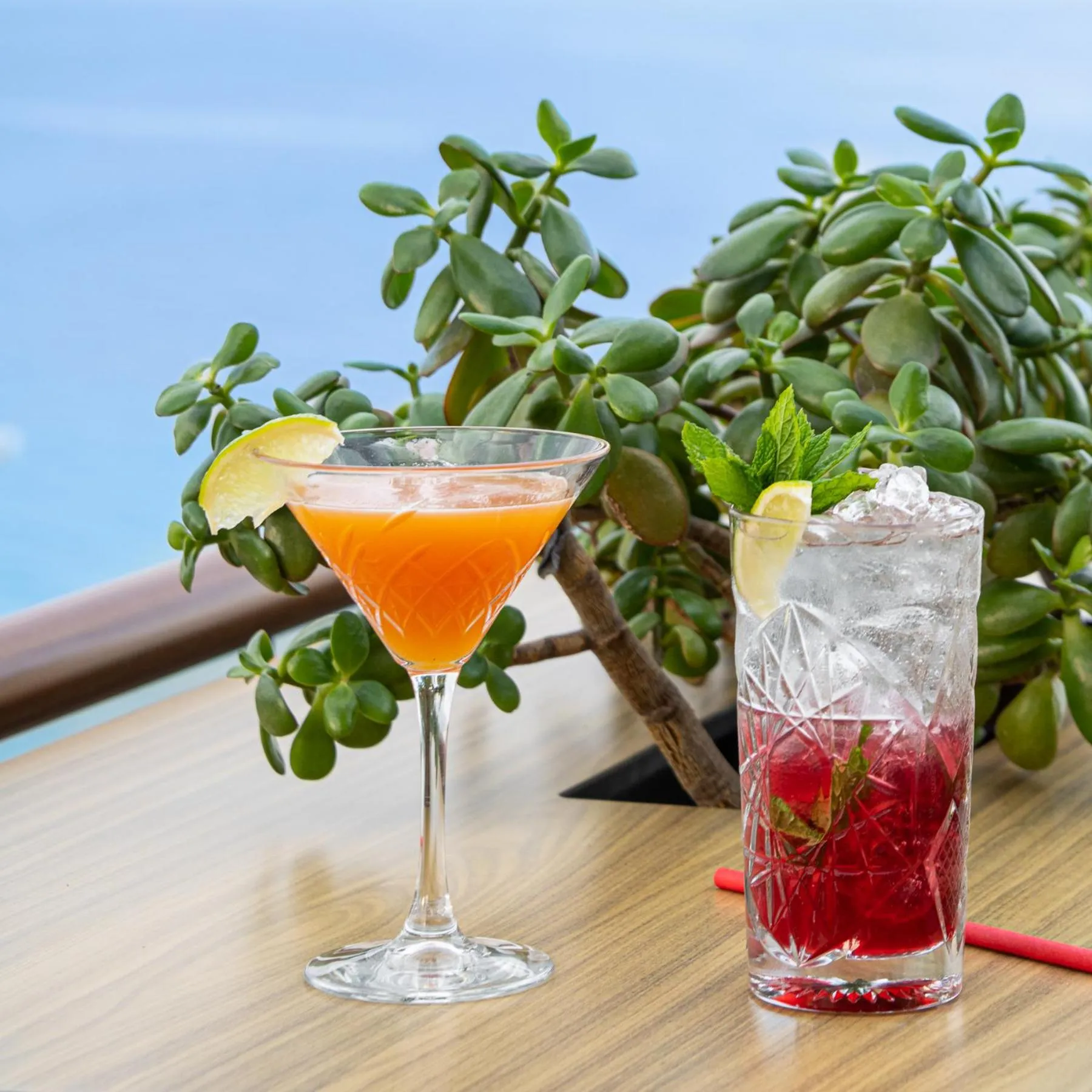 Lounge or bar in Blue Bay Halkidiki - Adults Only