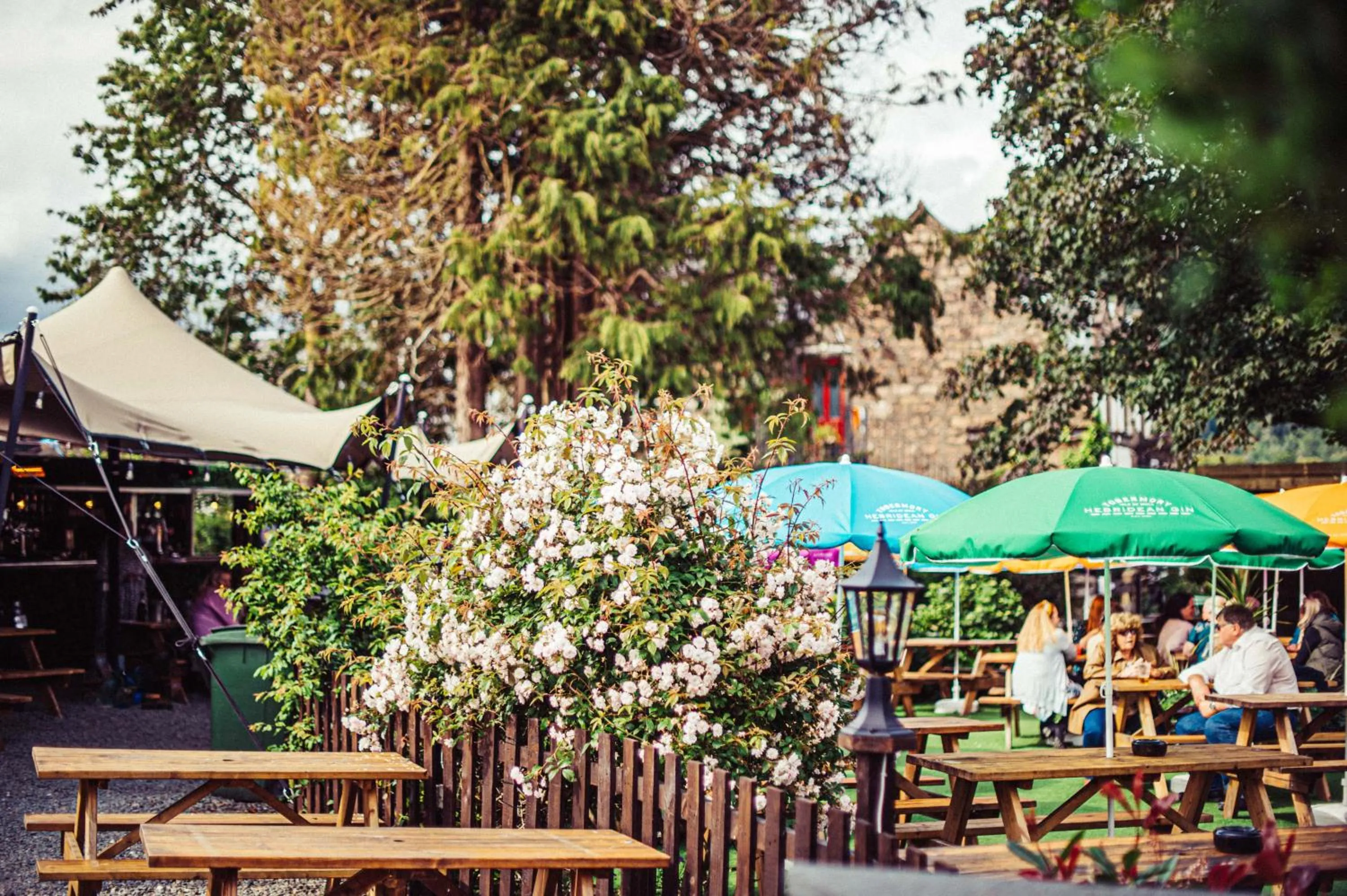 Garden in The George Hotel
