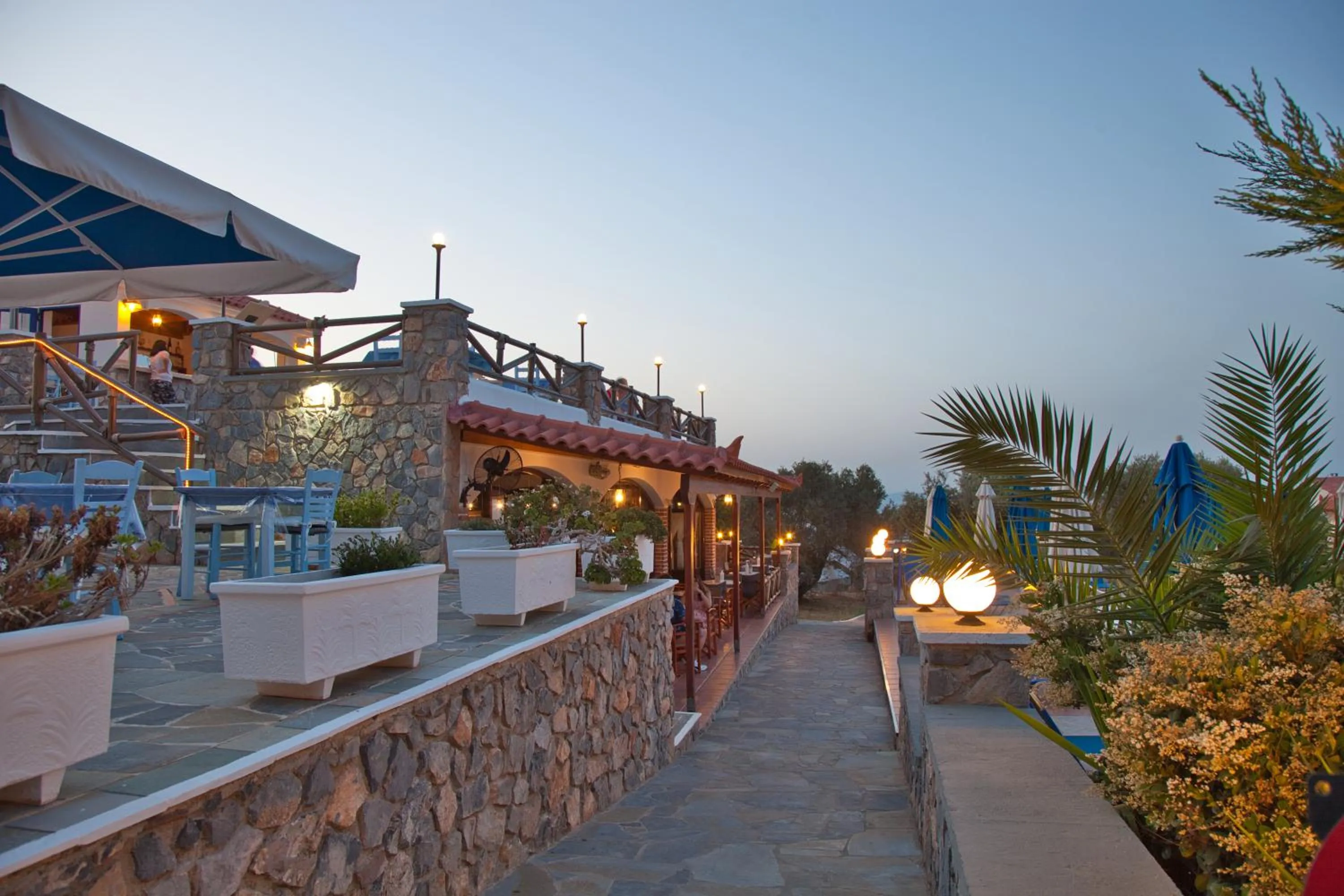 Restaurant/places to eat in Hotel Andreas - Agistri (Skala)