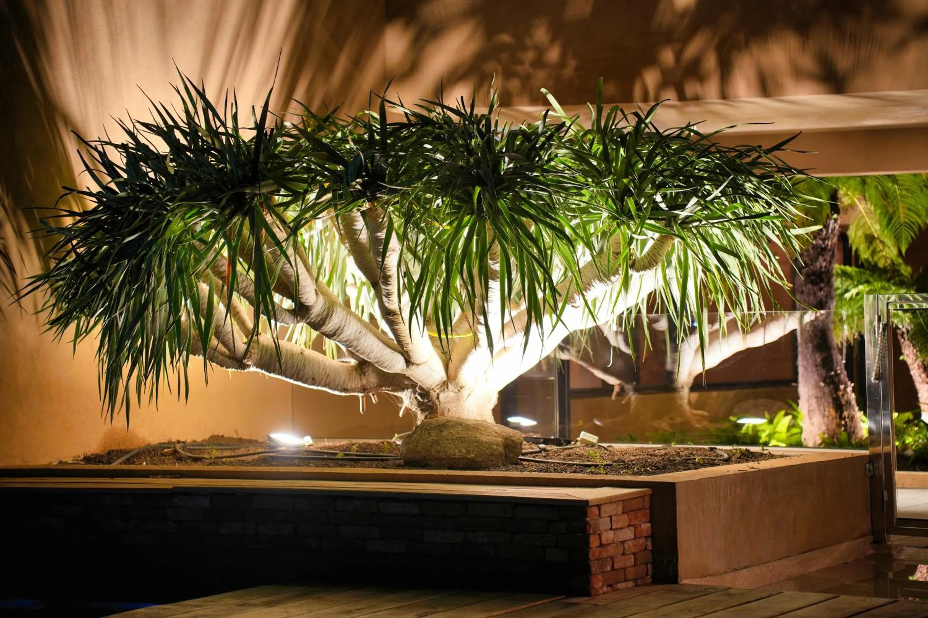 Garden in Les Regalia Hôtel & Spa