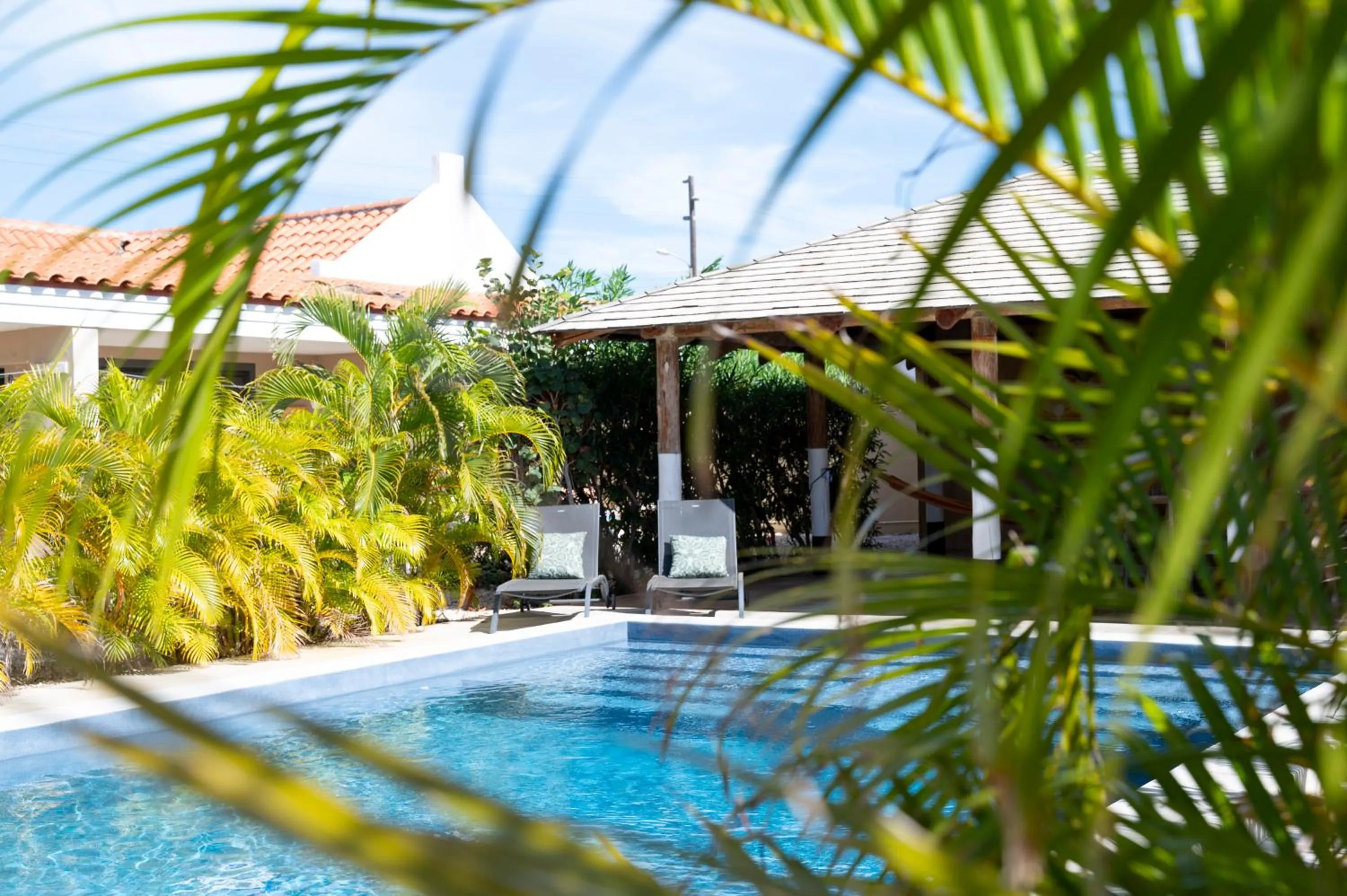 Swimming pool in Kura Kabana by Boutique Bonaire Unique Resorts