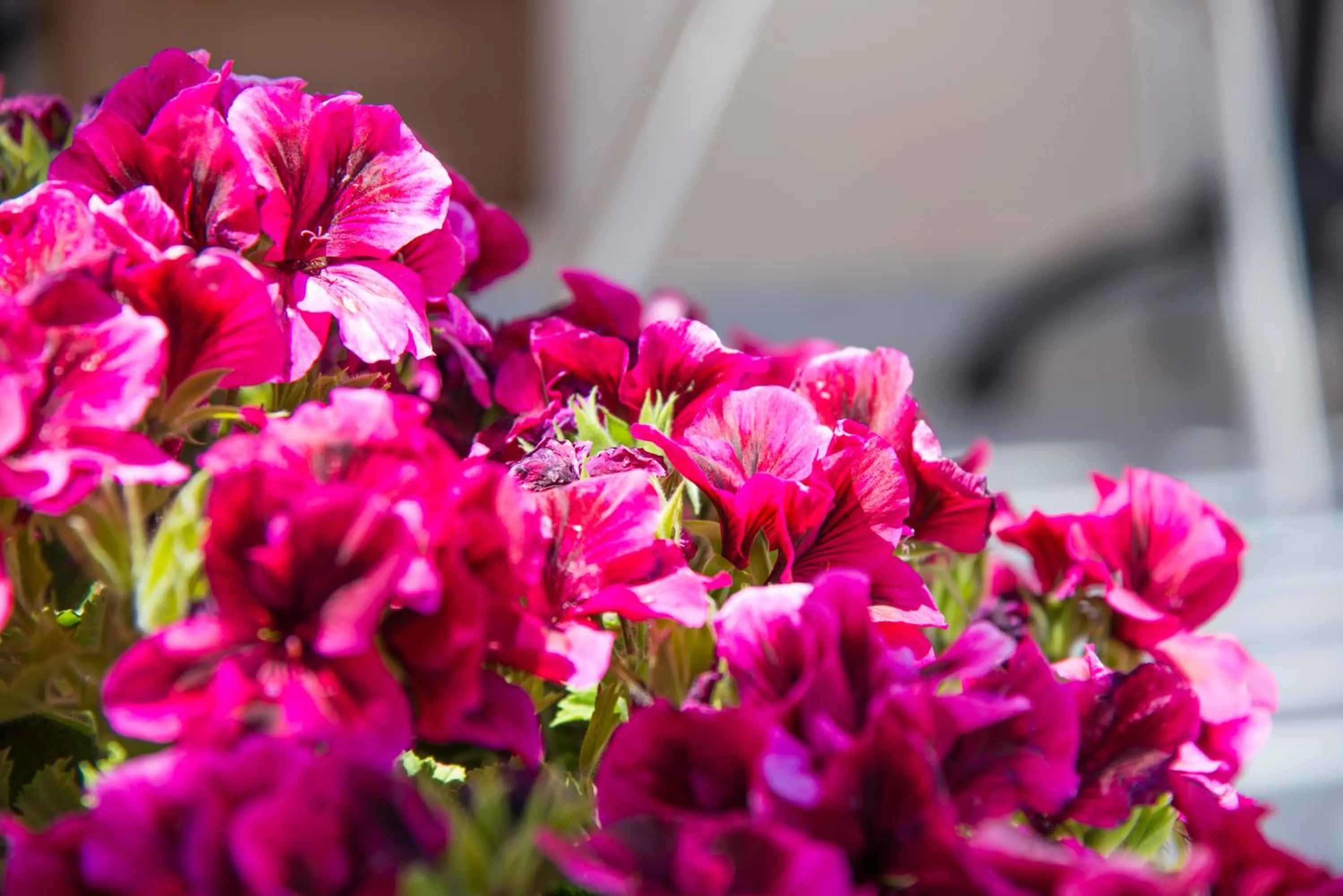 Decorative detail in Villa Voula