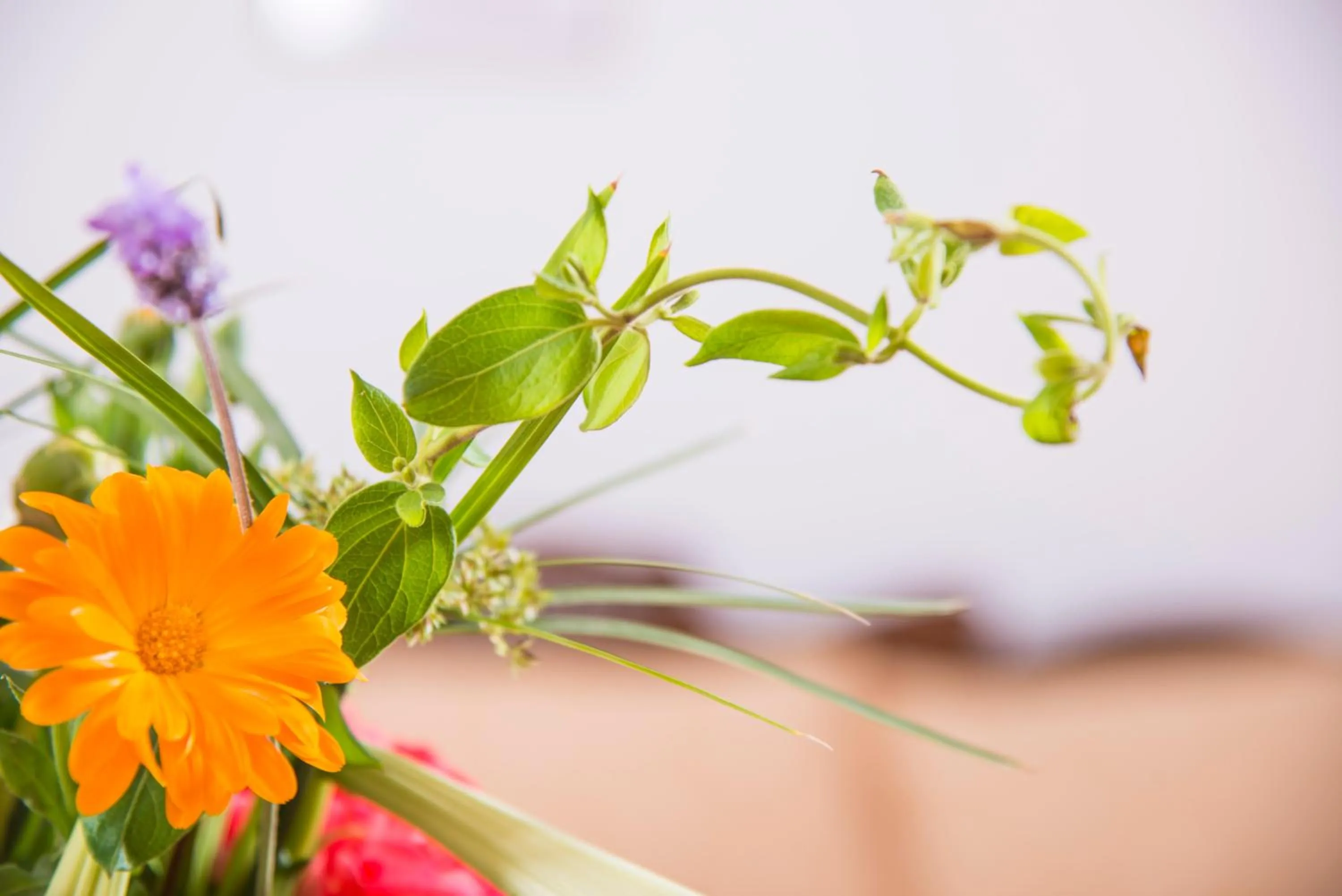 Decorative detail in Villa Voula