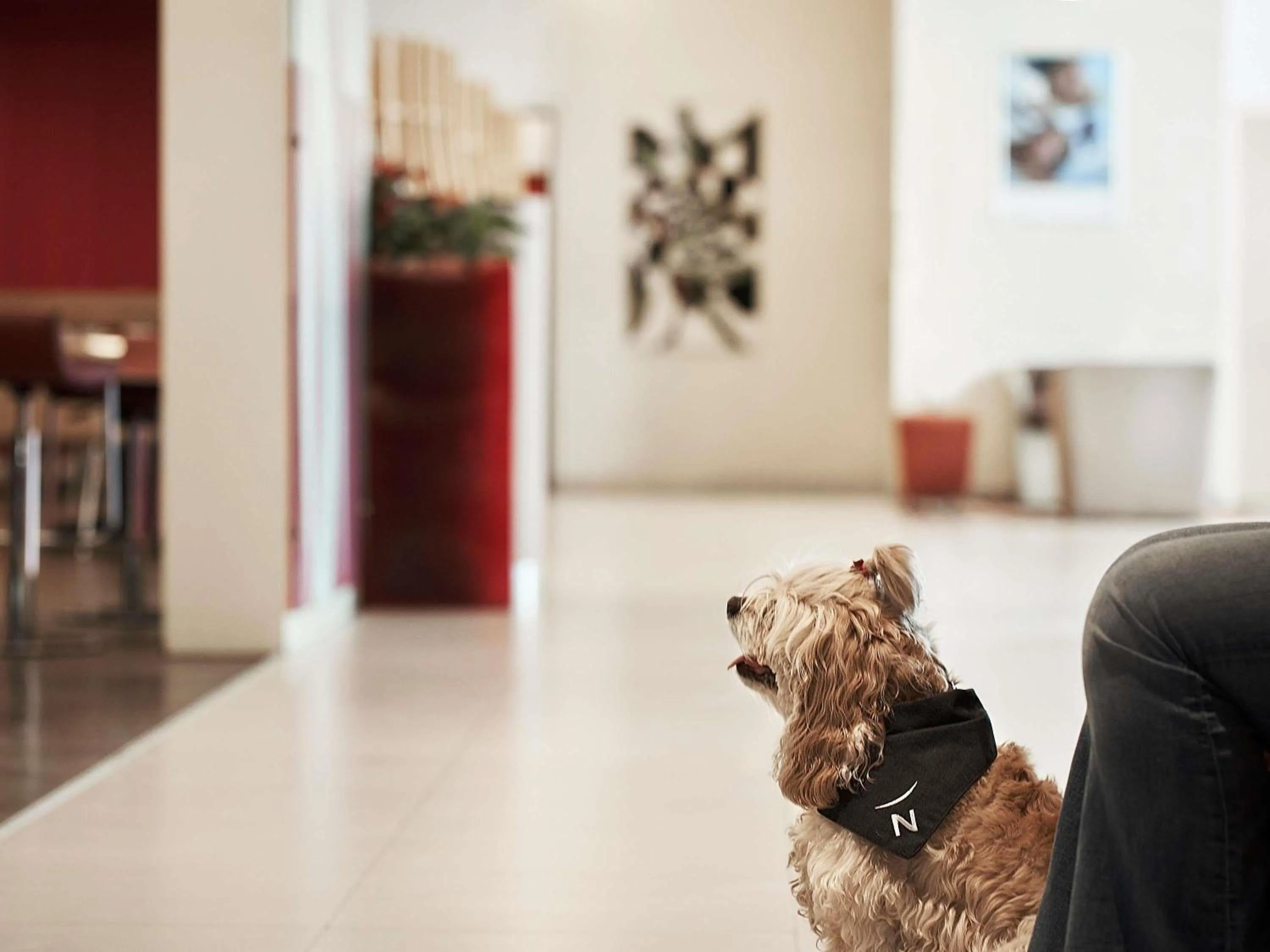 Property building in Novotel Athens