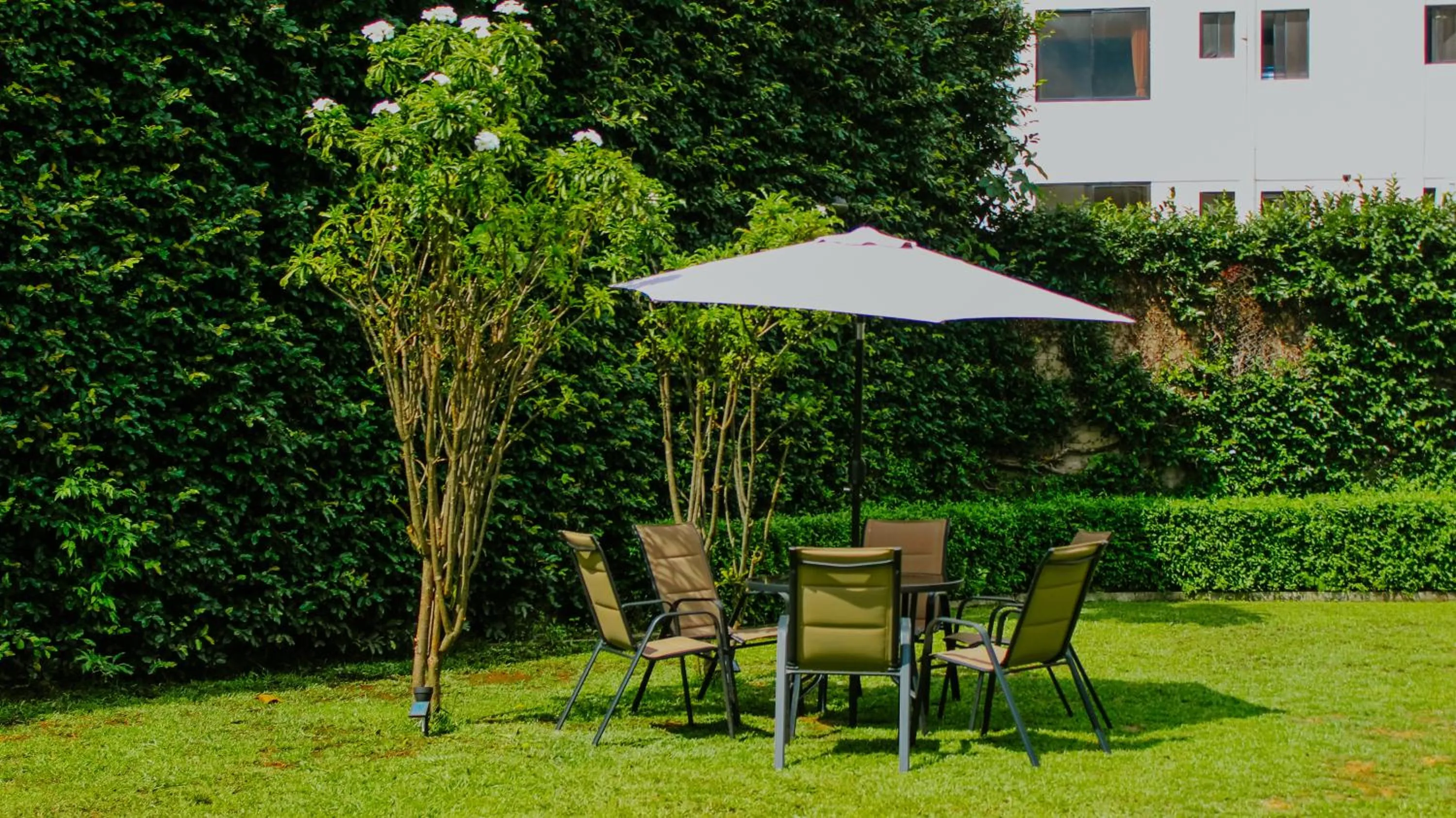 Patio in LA RUTA HOTEL CORPORATIVO