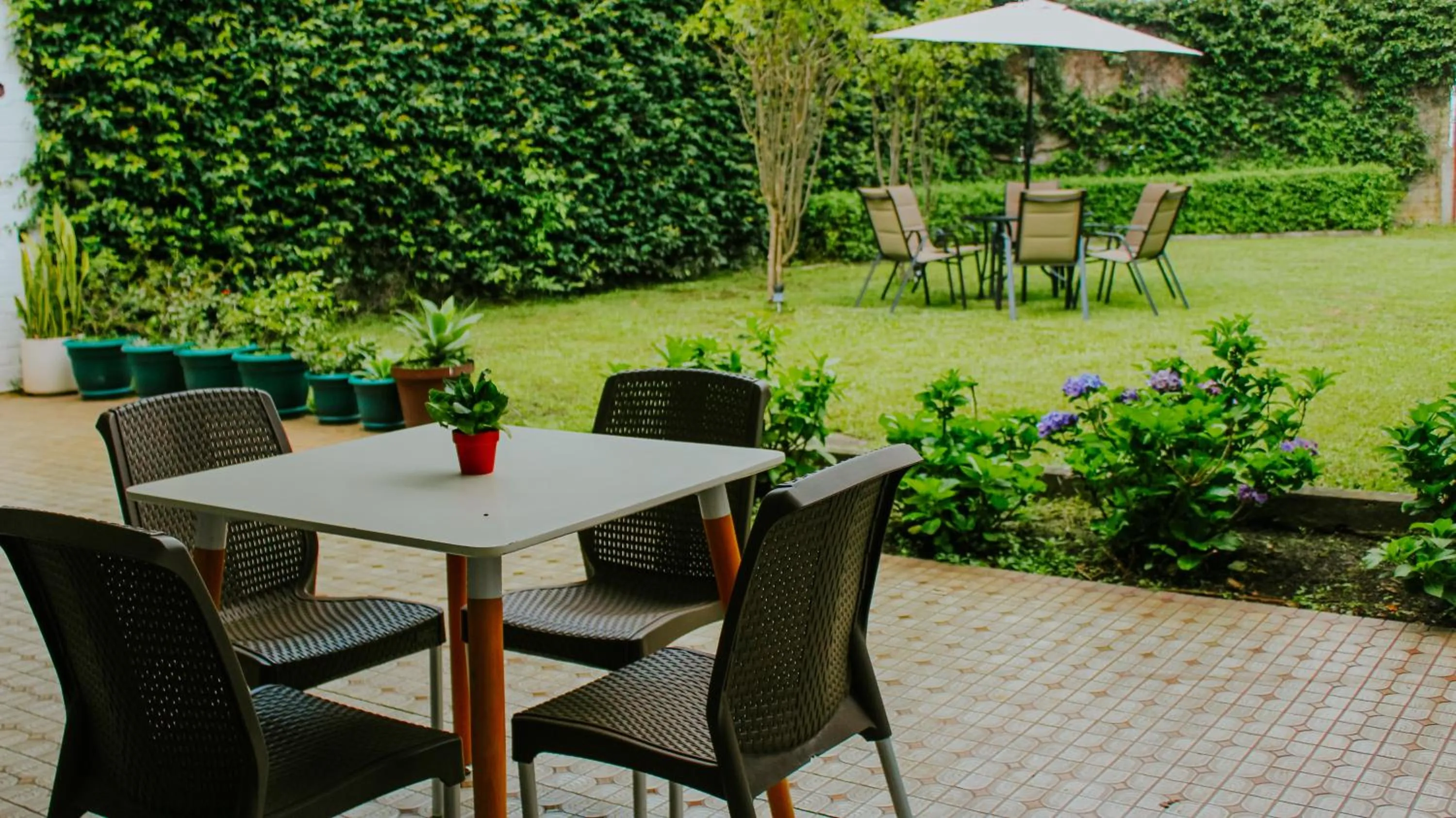 Garden view in LA RUTA HOTEL CORPORATIVO