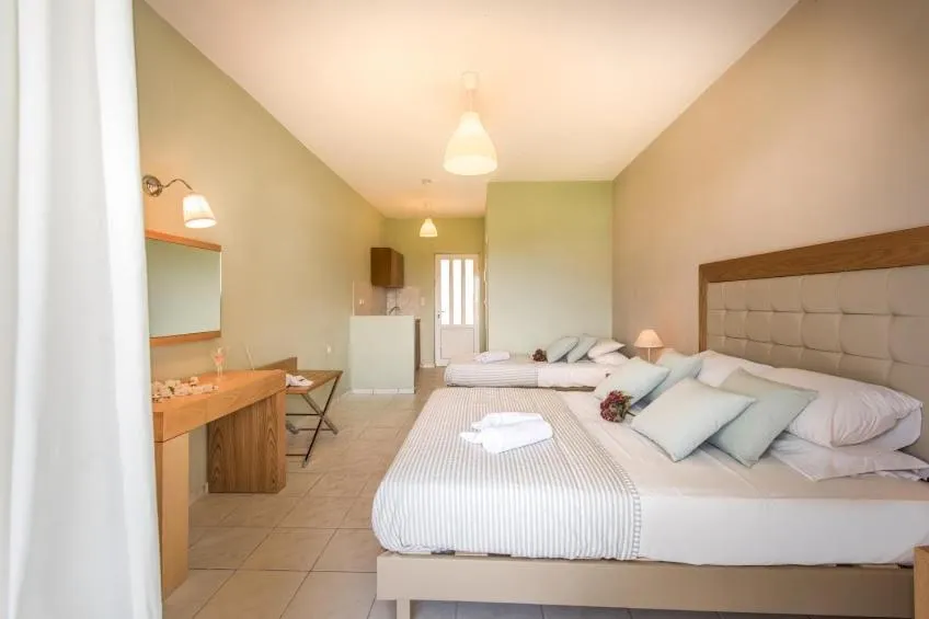 Hotel Plessas Palace