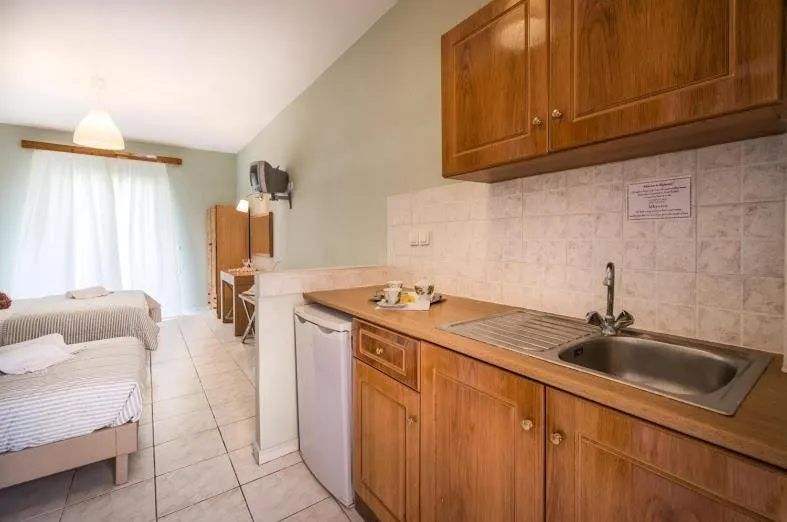 Hotel Plessas Palace