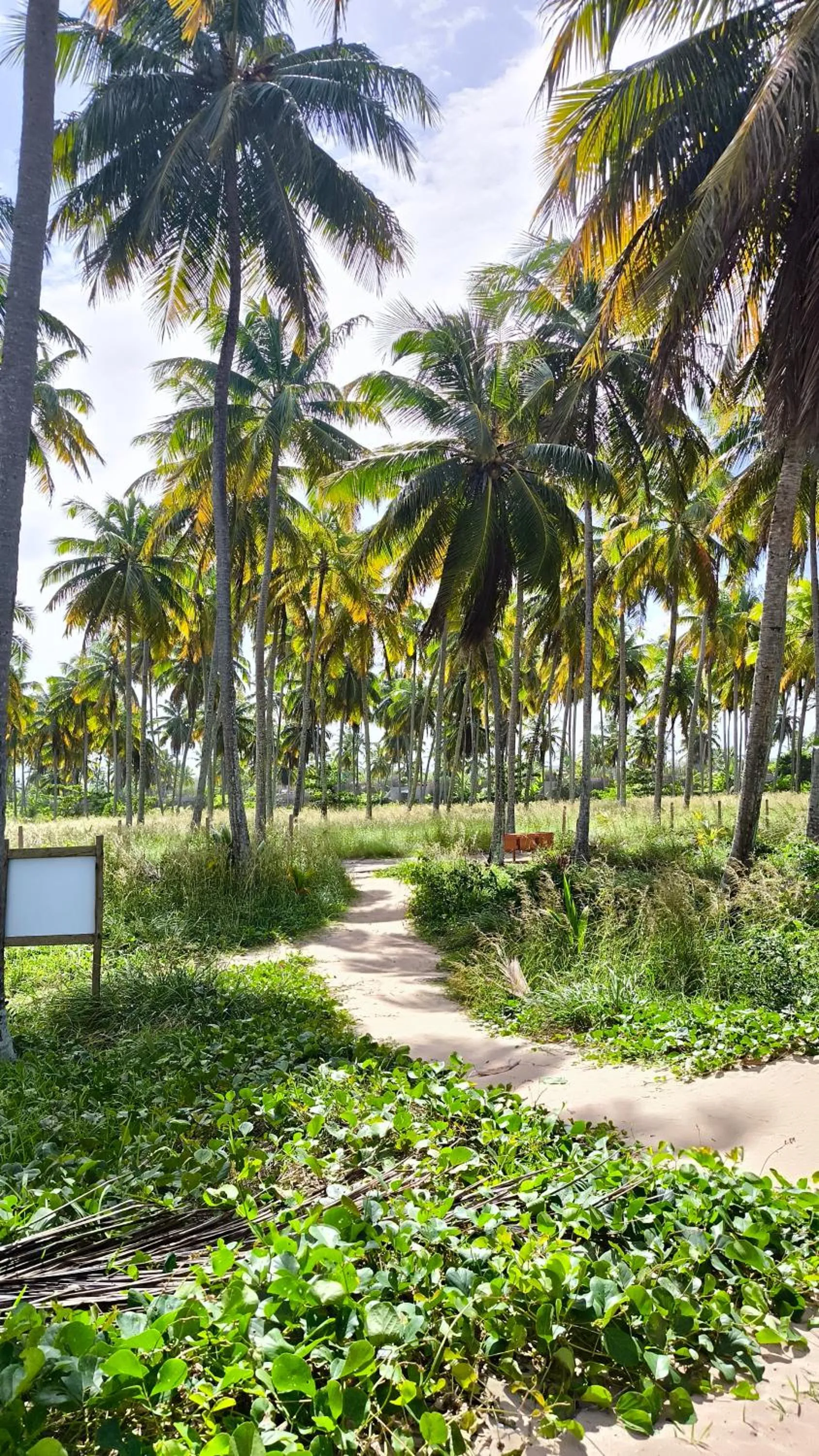 Natural landscape in KAMBY MILAGRES l Natureza e Conforto