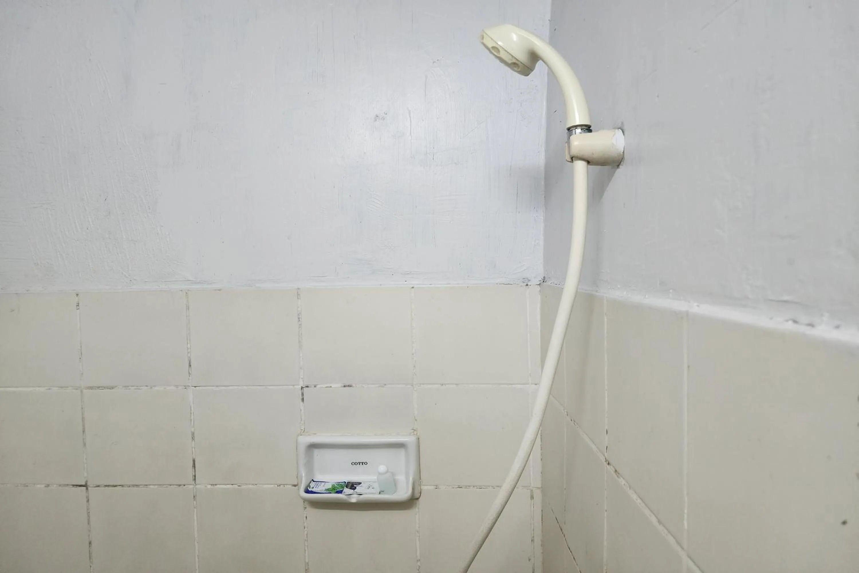 Shower in Green Apartment Kaset