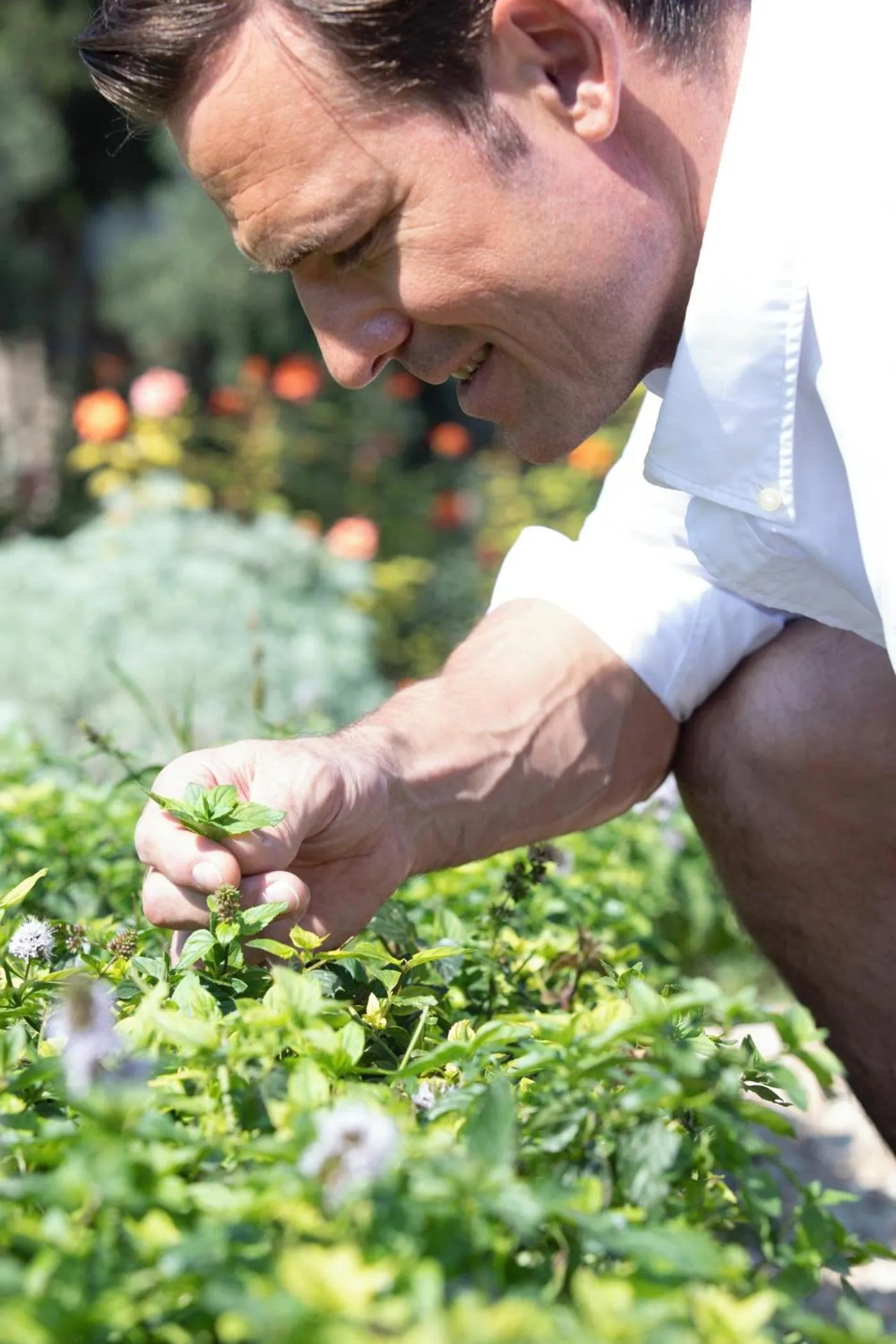Garden in Ikos Dassia
