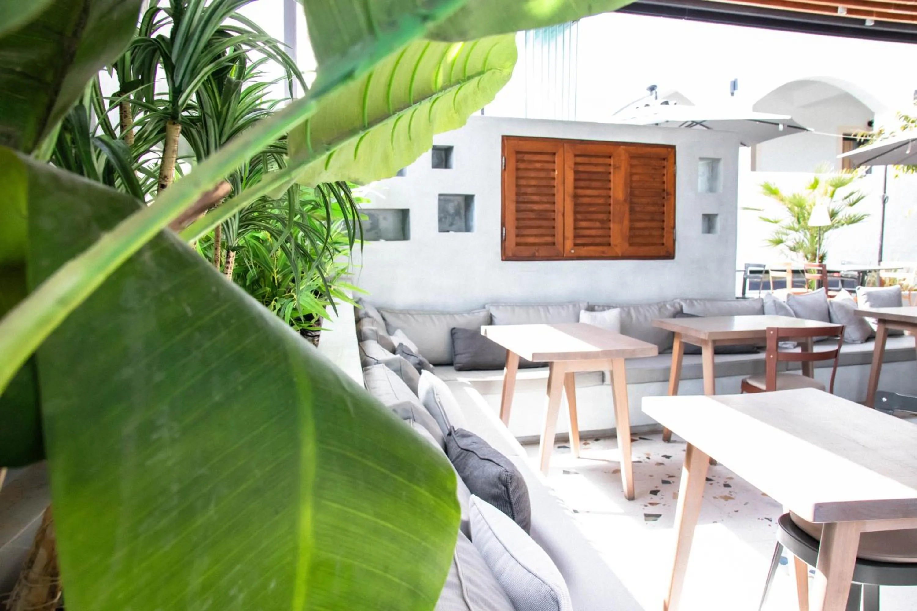 Restaurant/places to eat in Sellada Beach