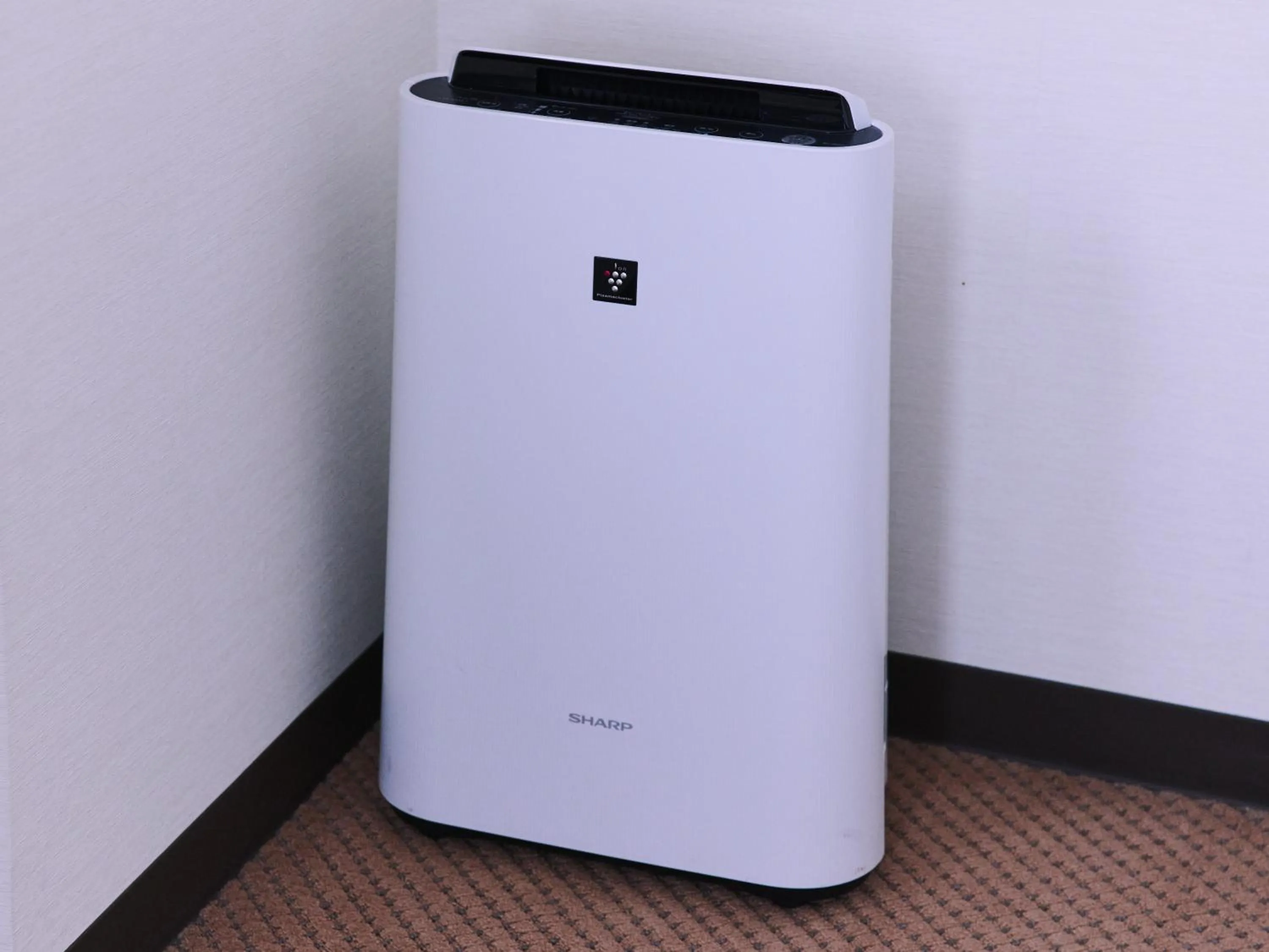 Photo of the whole room in Hotel Courtland