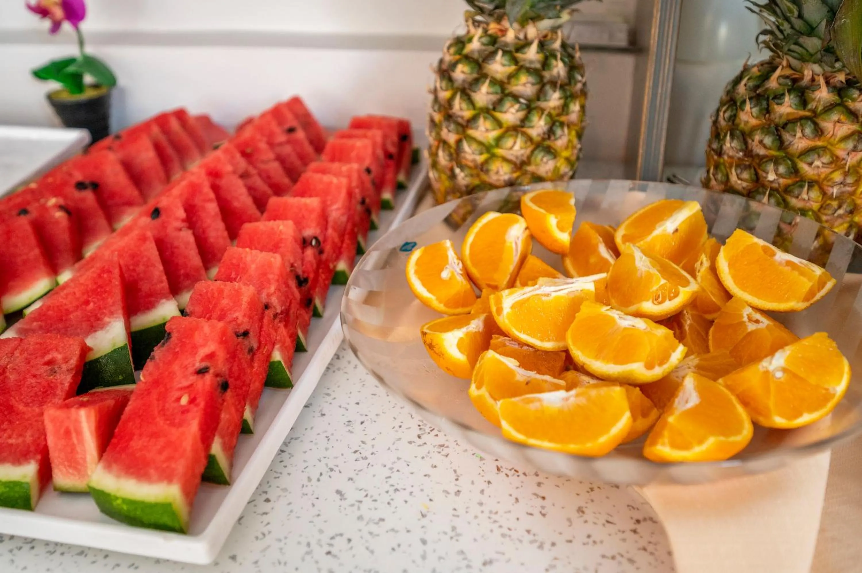 Buffet breakfast in Hotel Koala