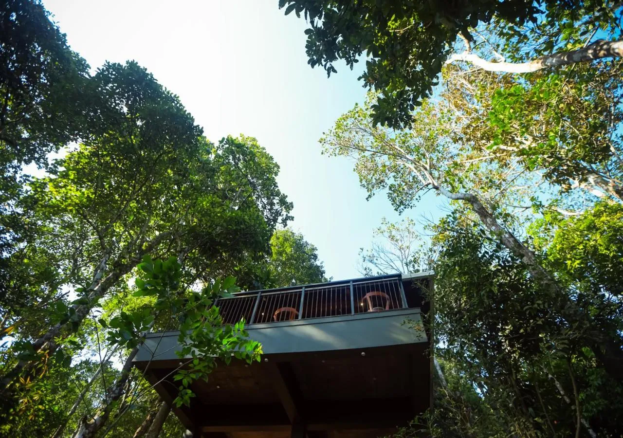 Restaurant/places to eat in Chembarathi Wayanad Boutique Resort