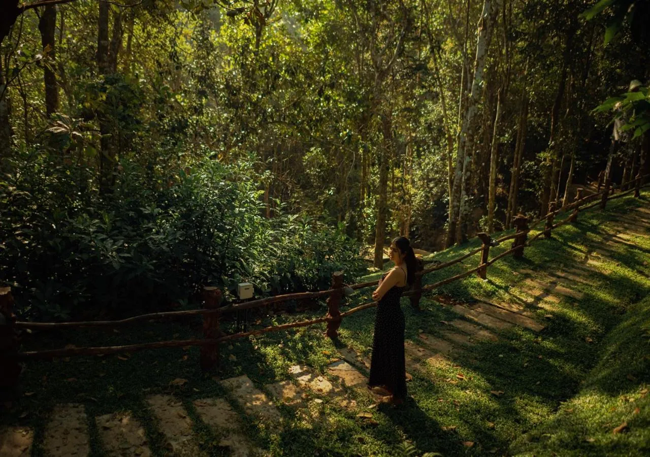 Natural landscape in Chembarathi Wayanad Boutique Resort