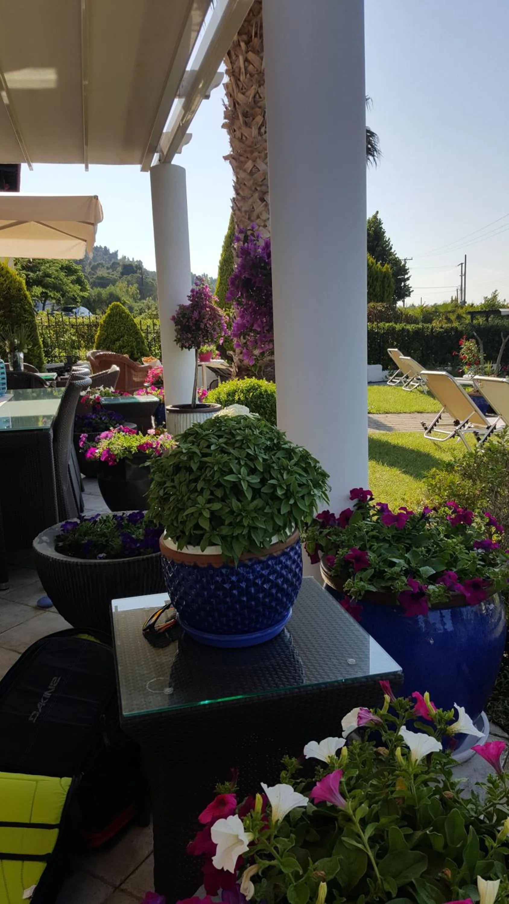 Garden in SUN RESIDENCE Exclusive Seaside Suites