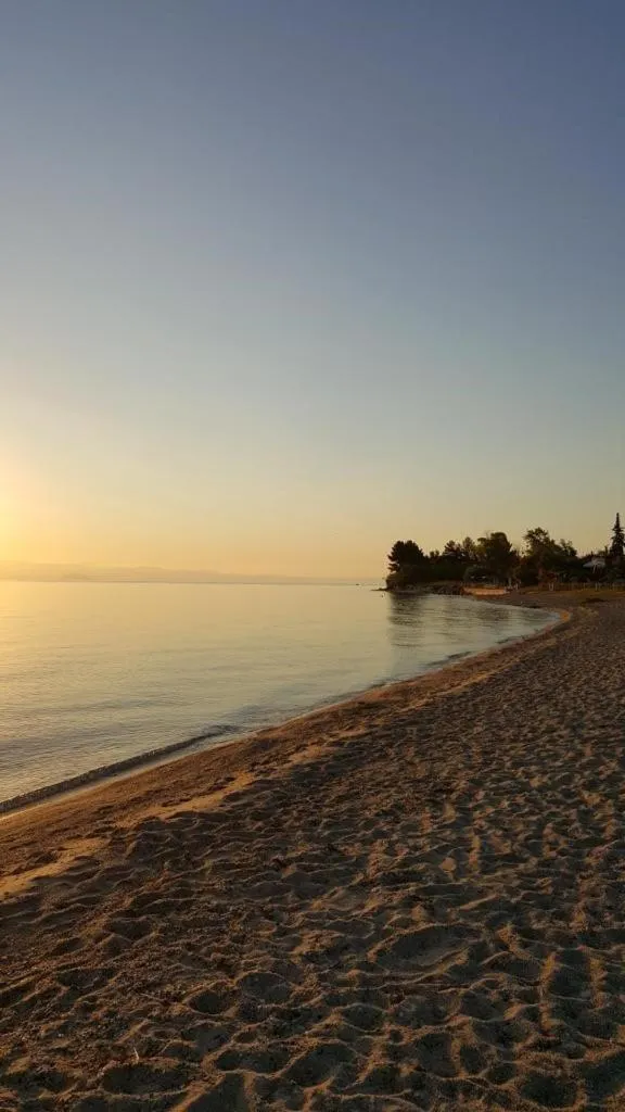 SUN RESIDENCE Exclusive Seaside Suites