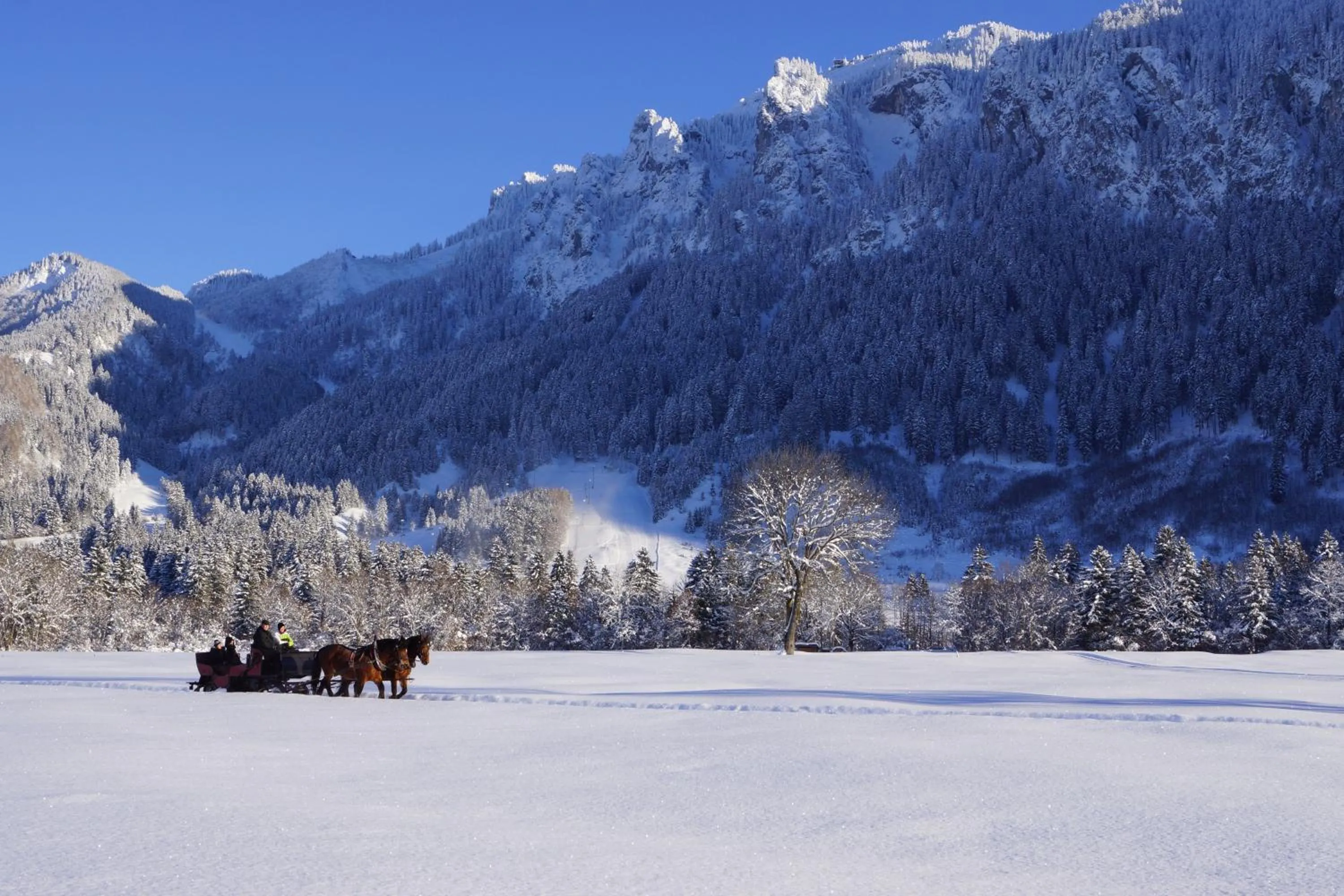 Day in Maximilian Appartements