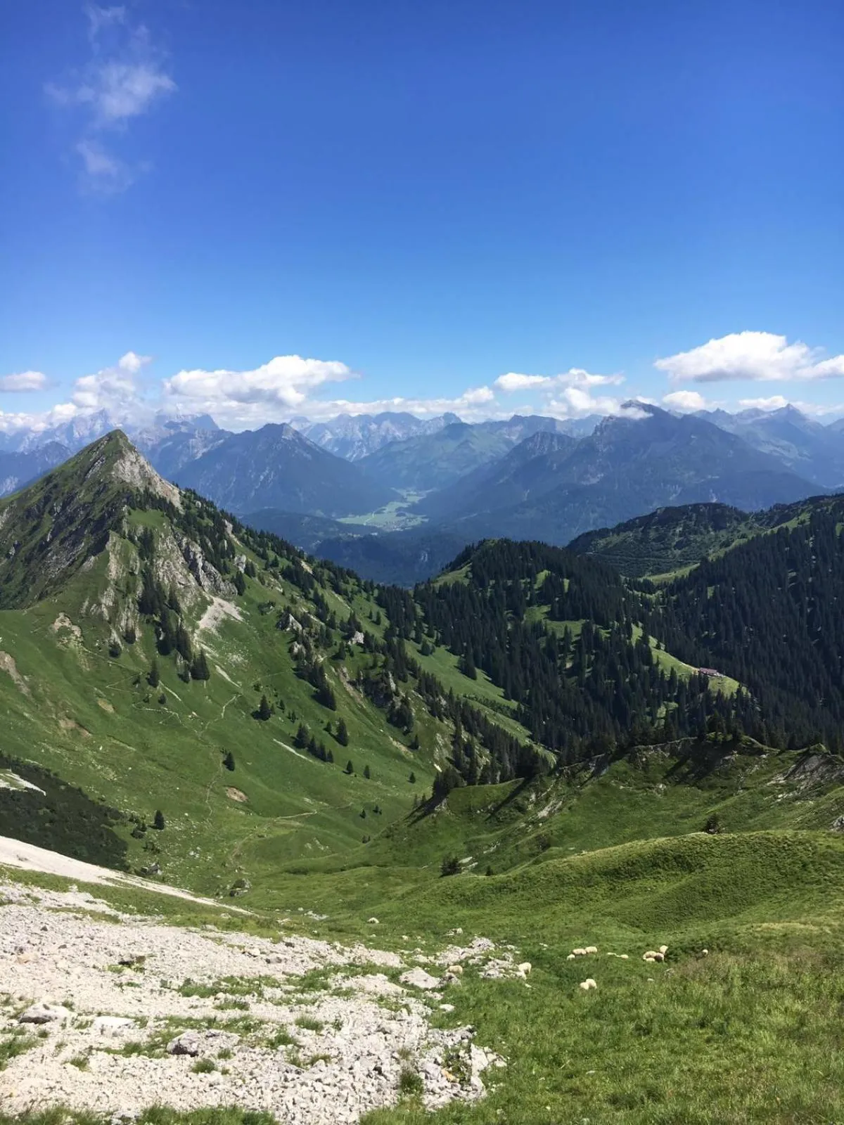 Hiking in Maximilian Appartements