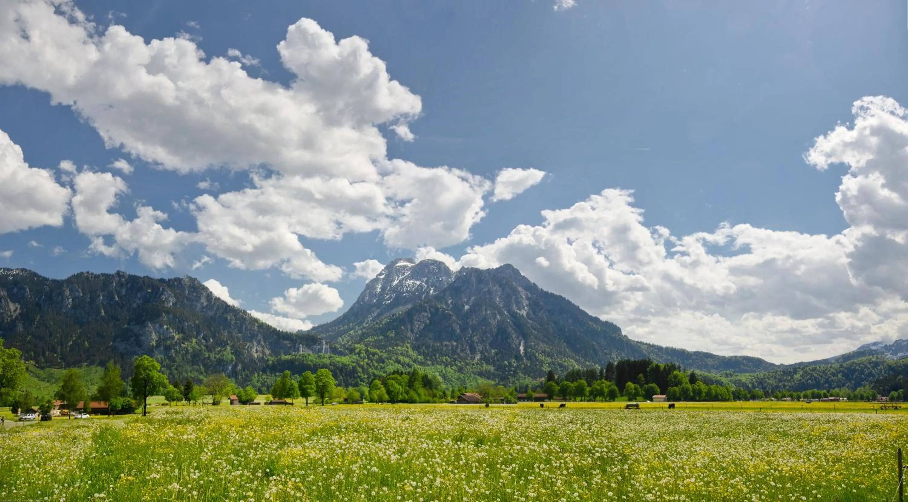 Day in Maximilian Appartements