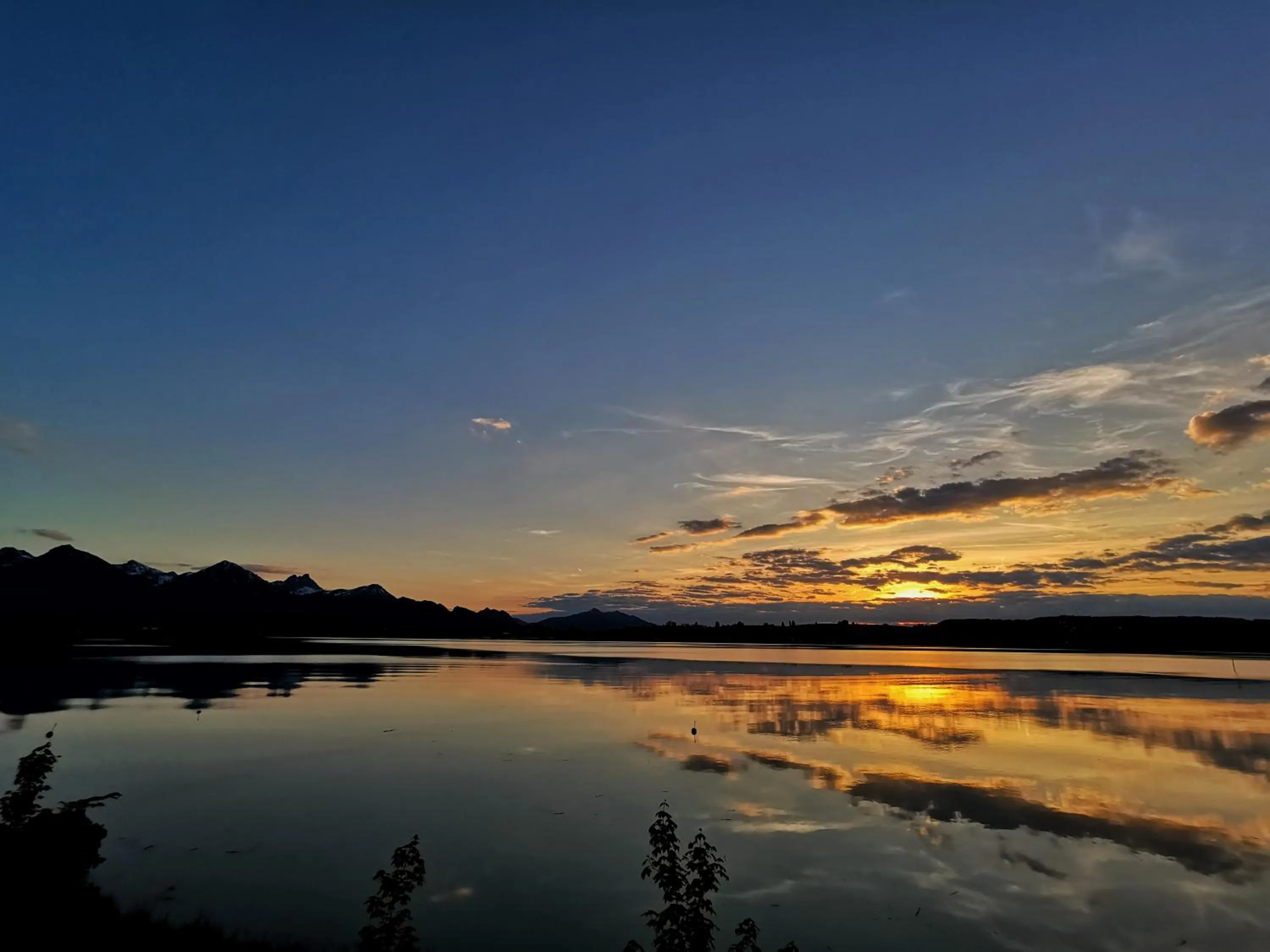 Natural landscape in Maximilian Appartements