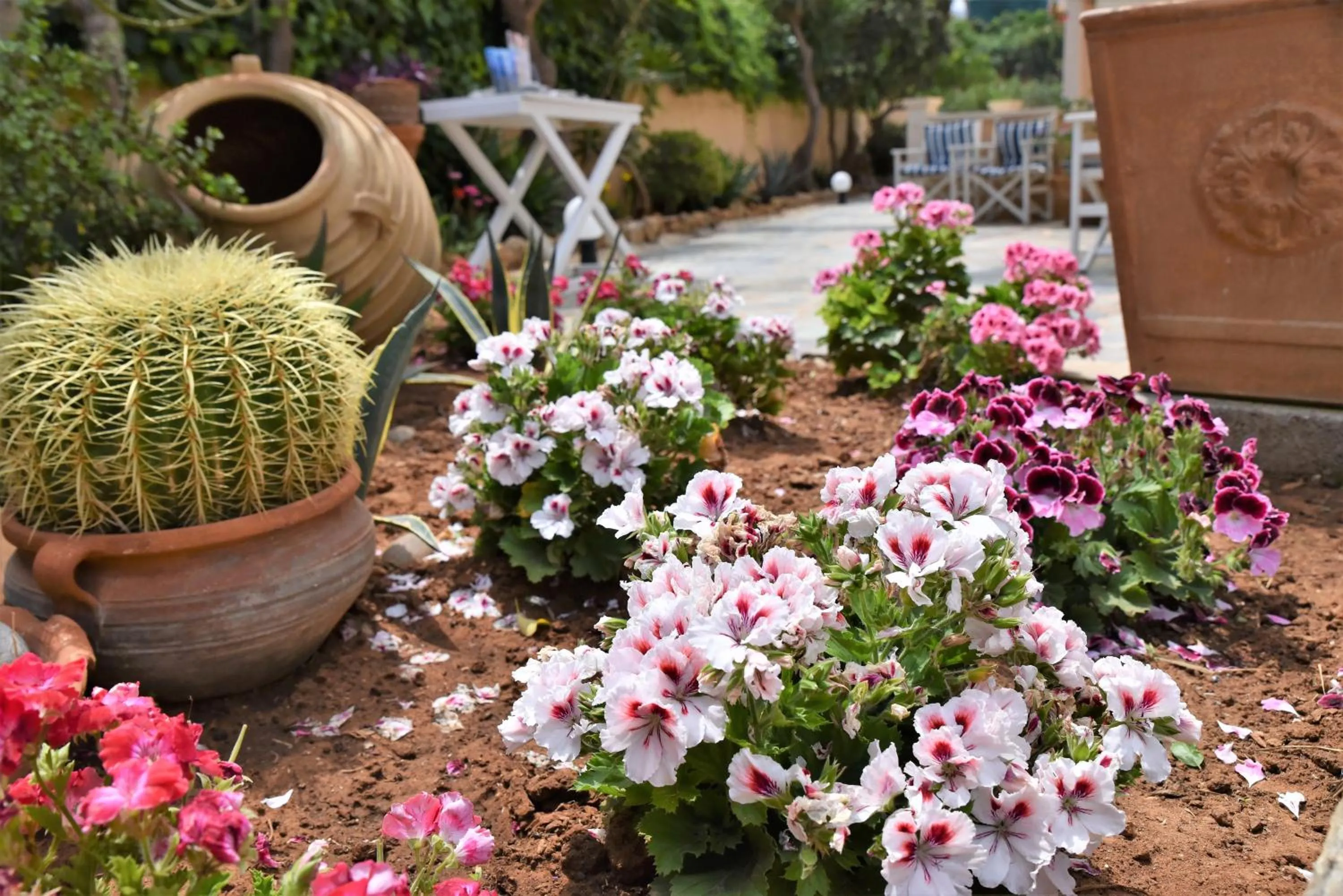 Spring in Golden Bay Hotel Apartments