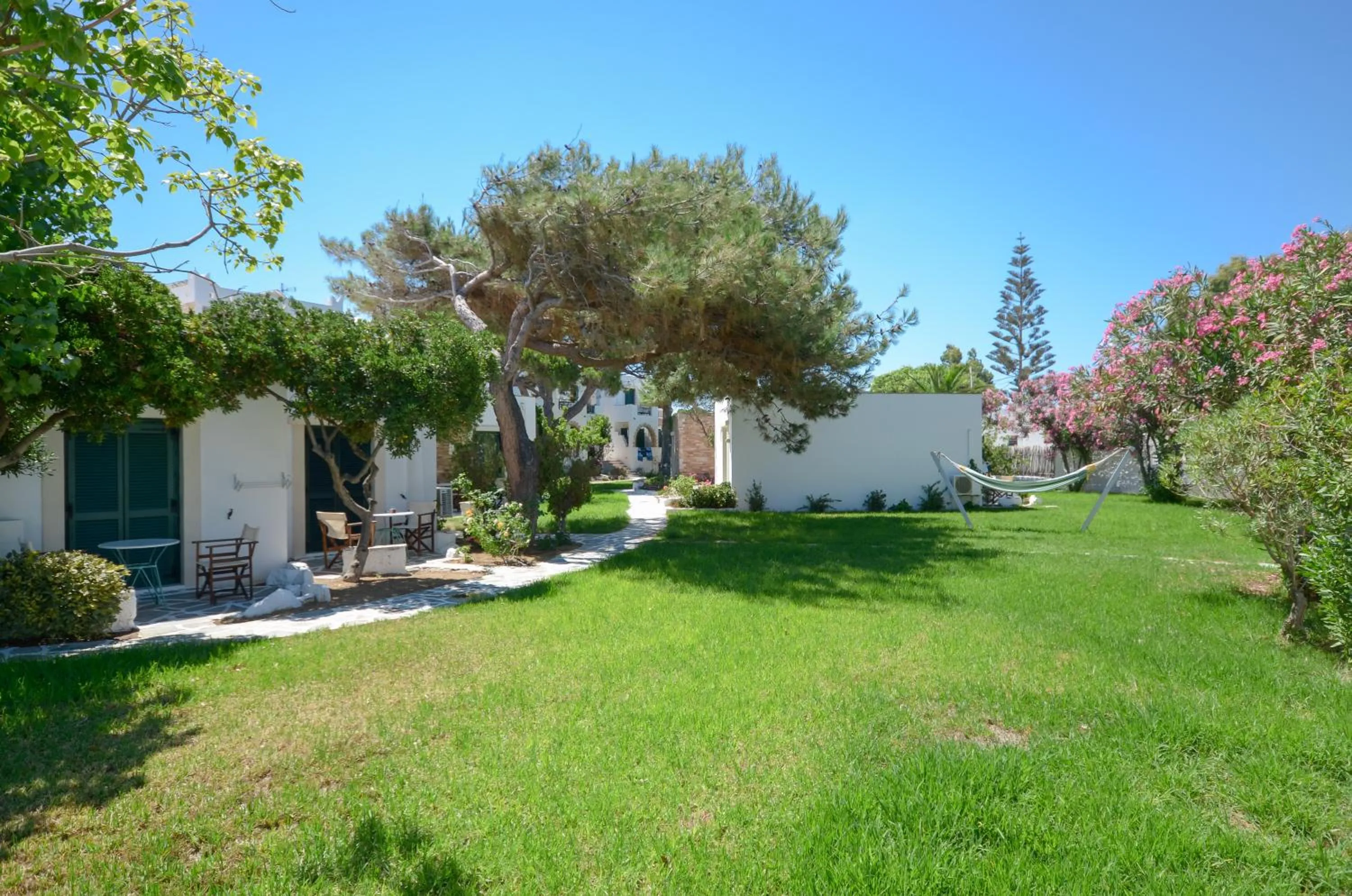 Garden in Hotel Naxos Beach