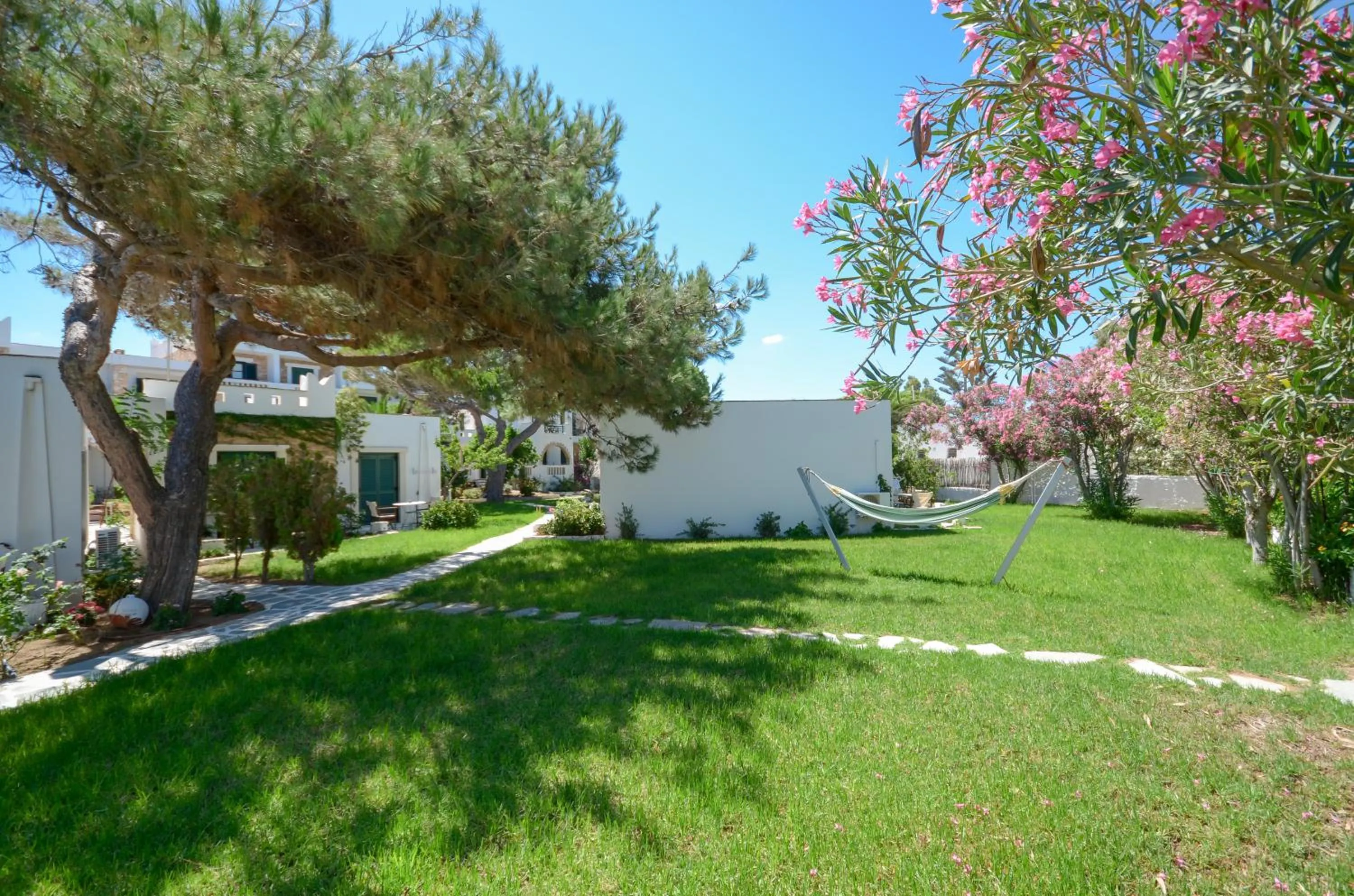 Garden in Hotel Naxos Beach