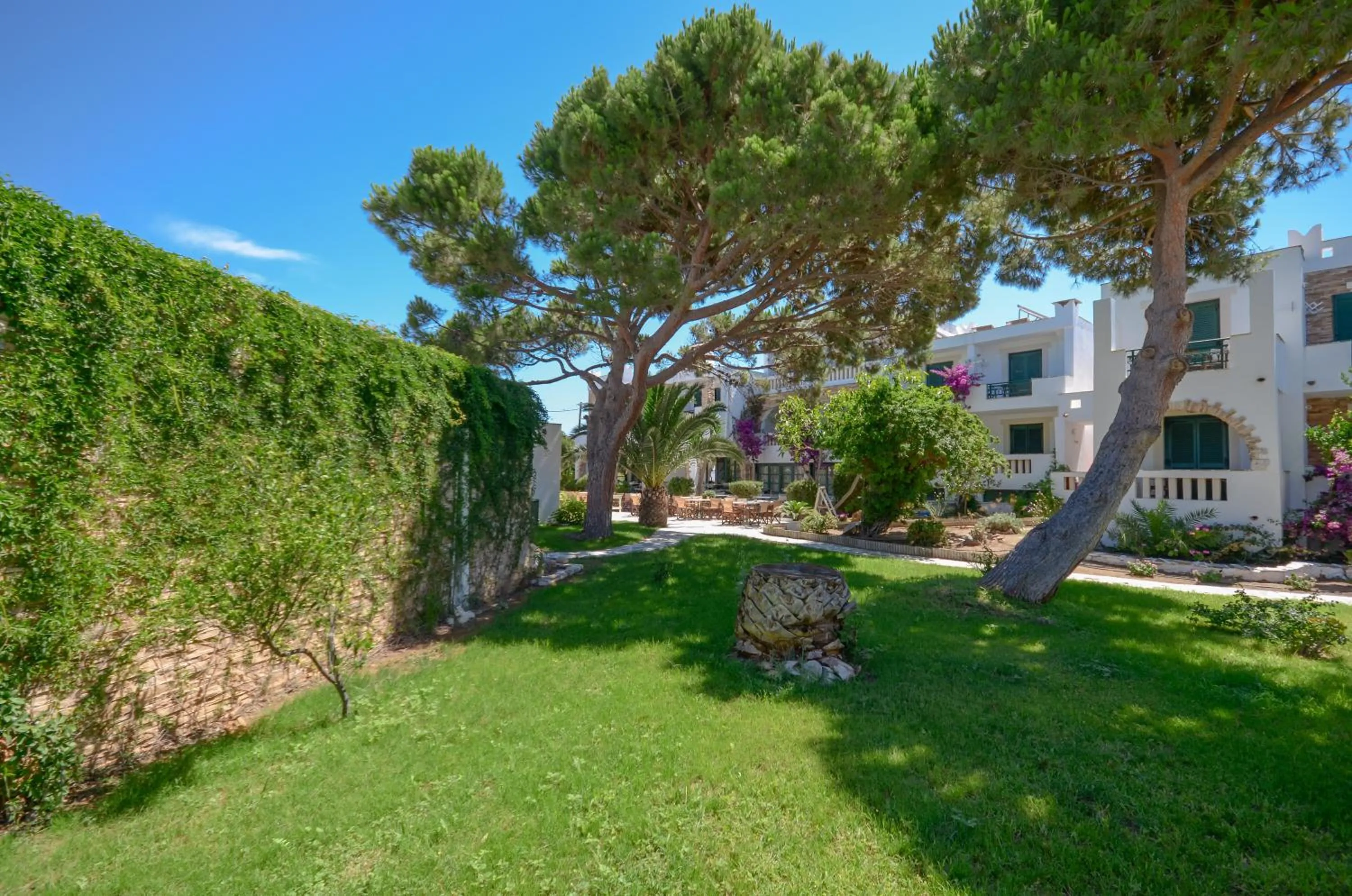 Garden in Hotel Naxos Beach