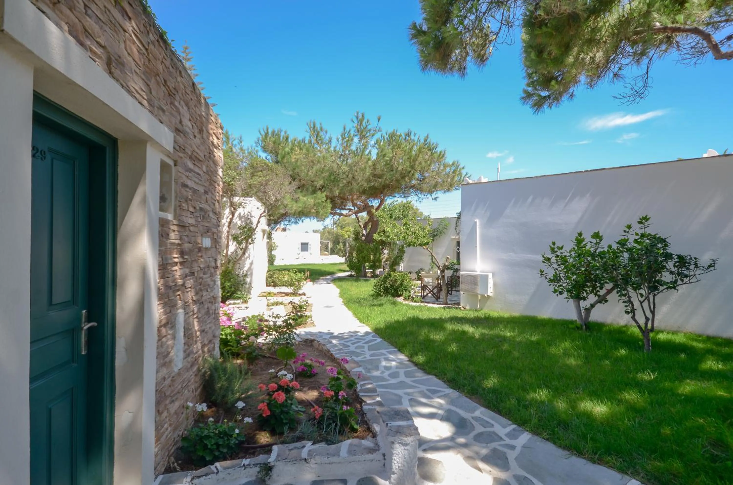 Garden in Hotel Naxos Beach