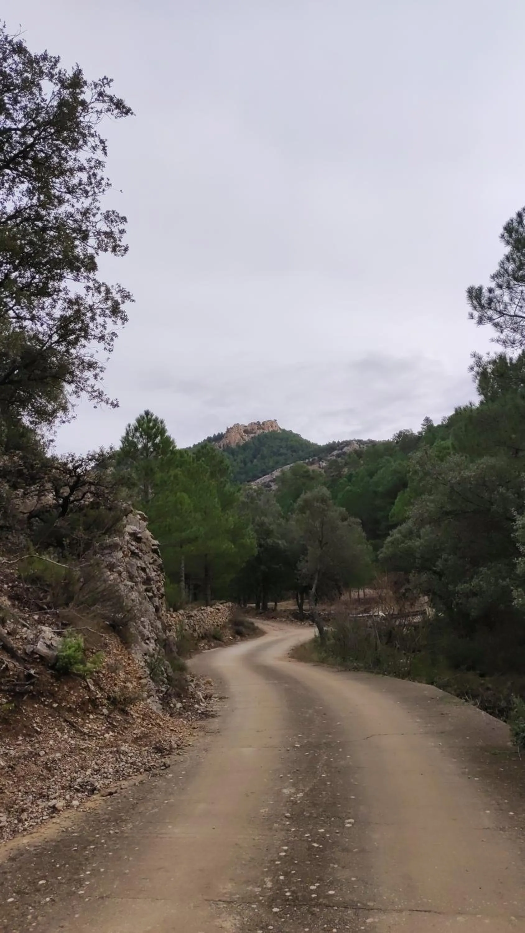 Natural landscape in Pensión Mesón La Lonja - Herbers