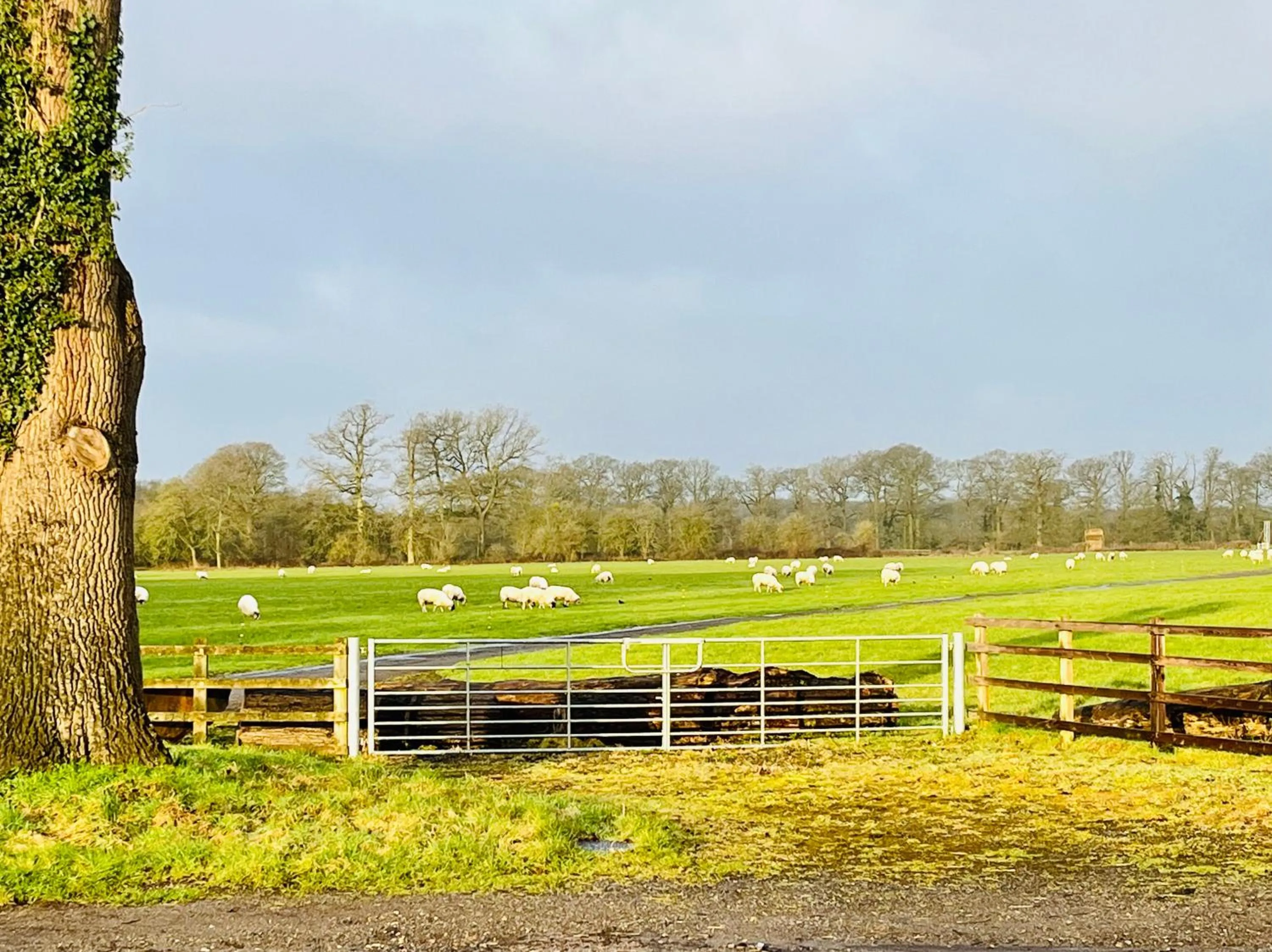 The New Inn Heckfield