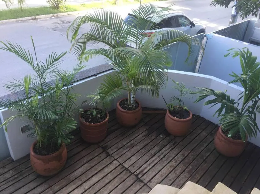 Facade/entrance in Danzamar 1B with Pool & Rooftop near Mamitas beach