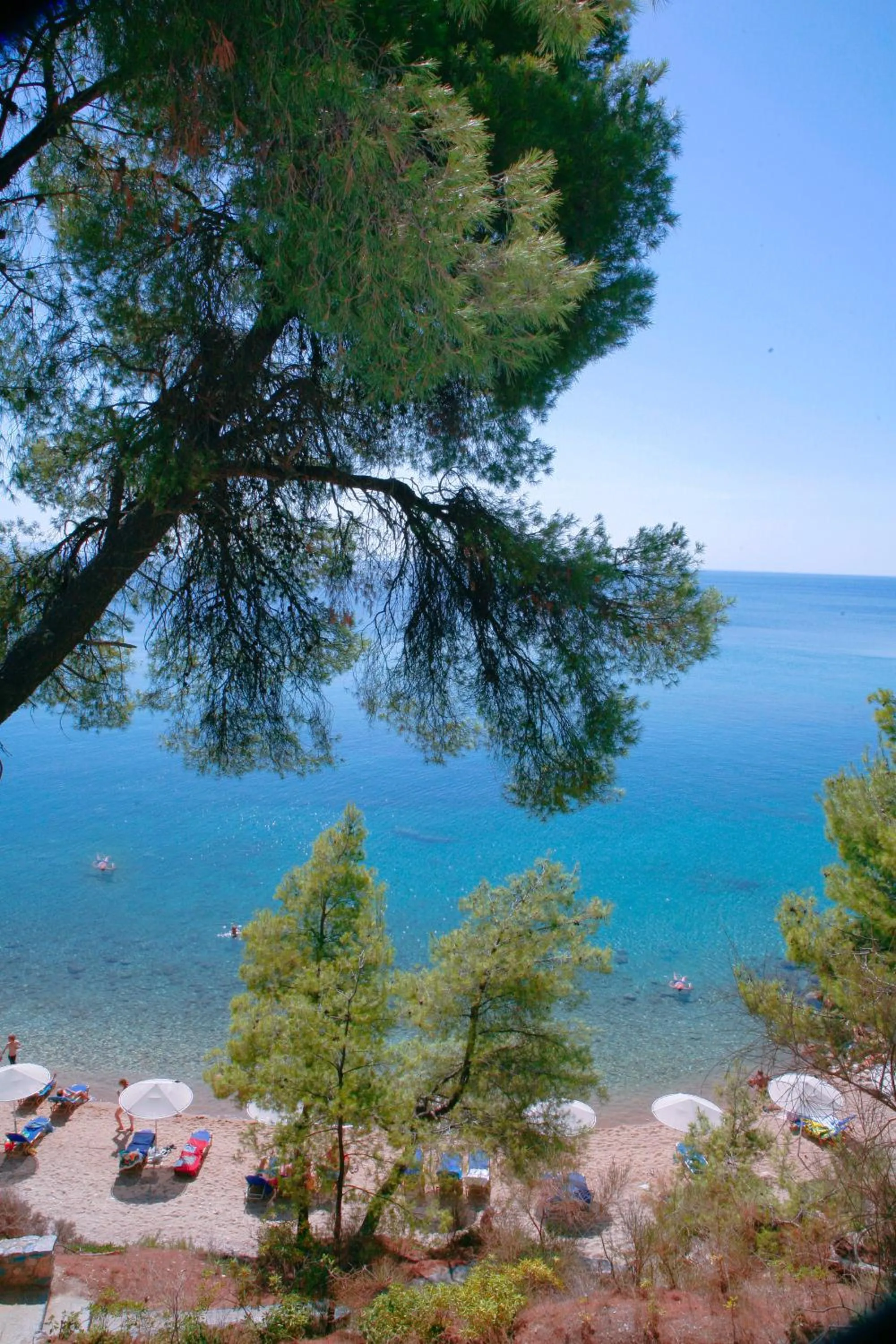 Beach in Acrotel Athena Pallas & Residence