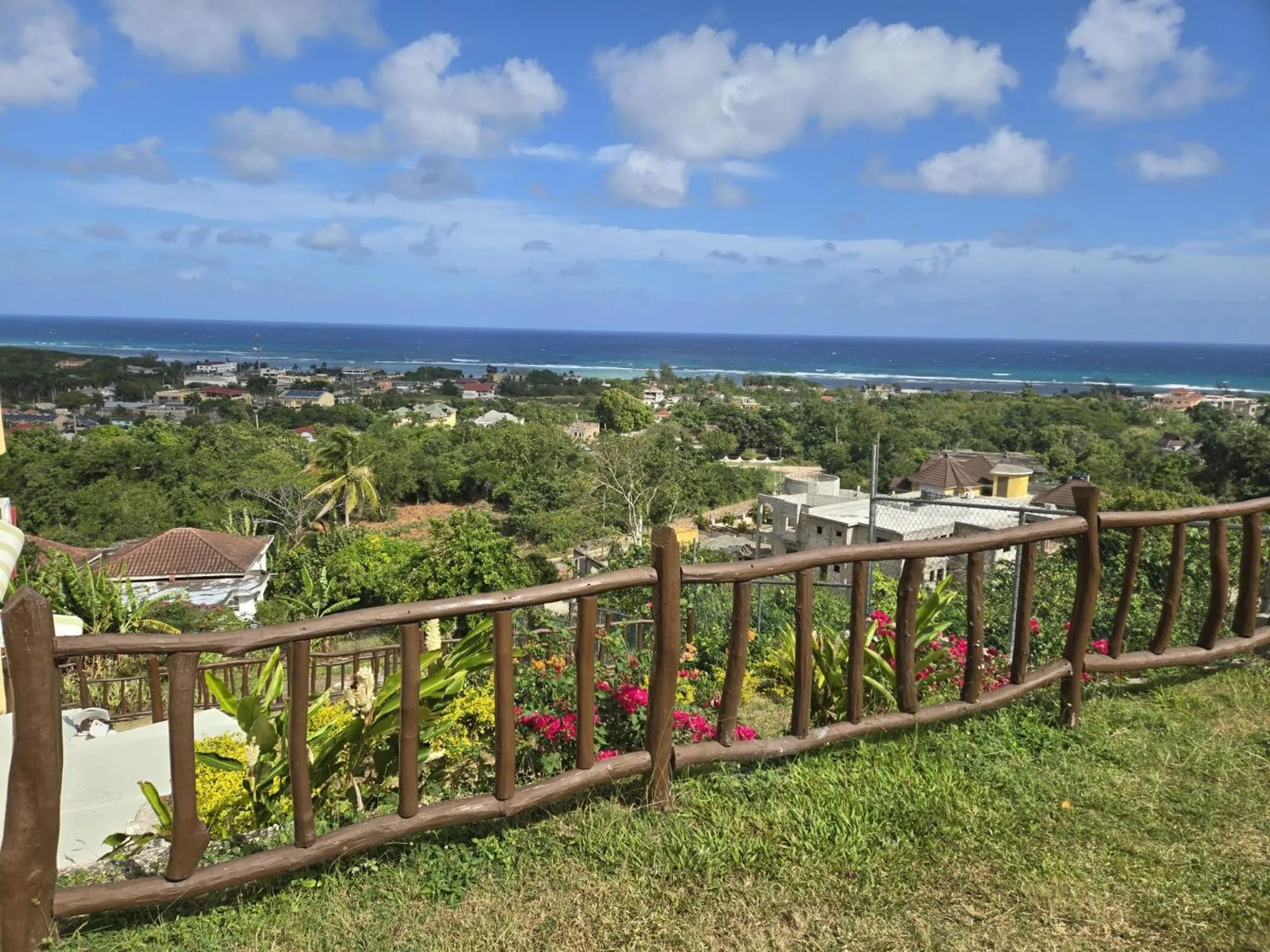 Natural landscape in Poinciana House