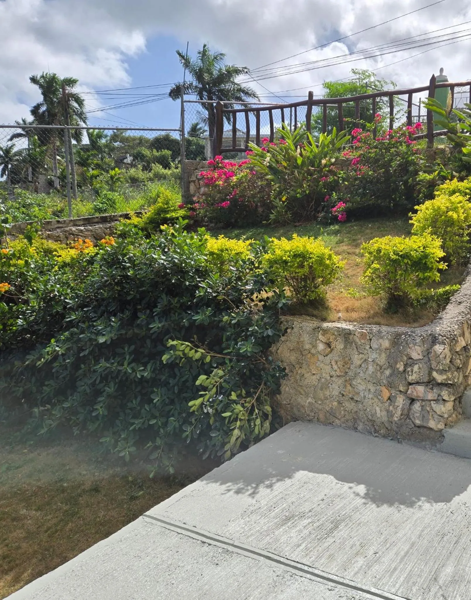 Garden view in Poinciana House