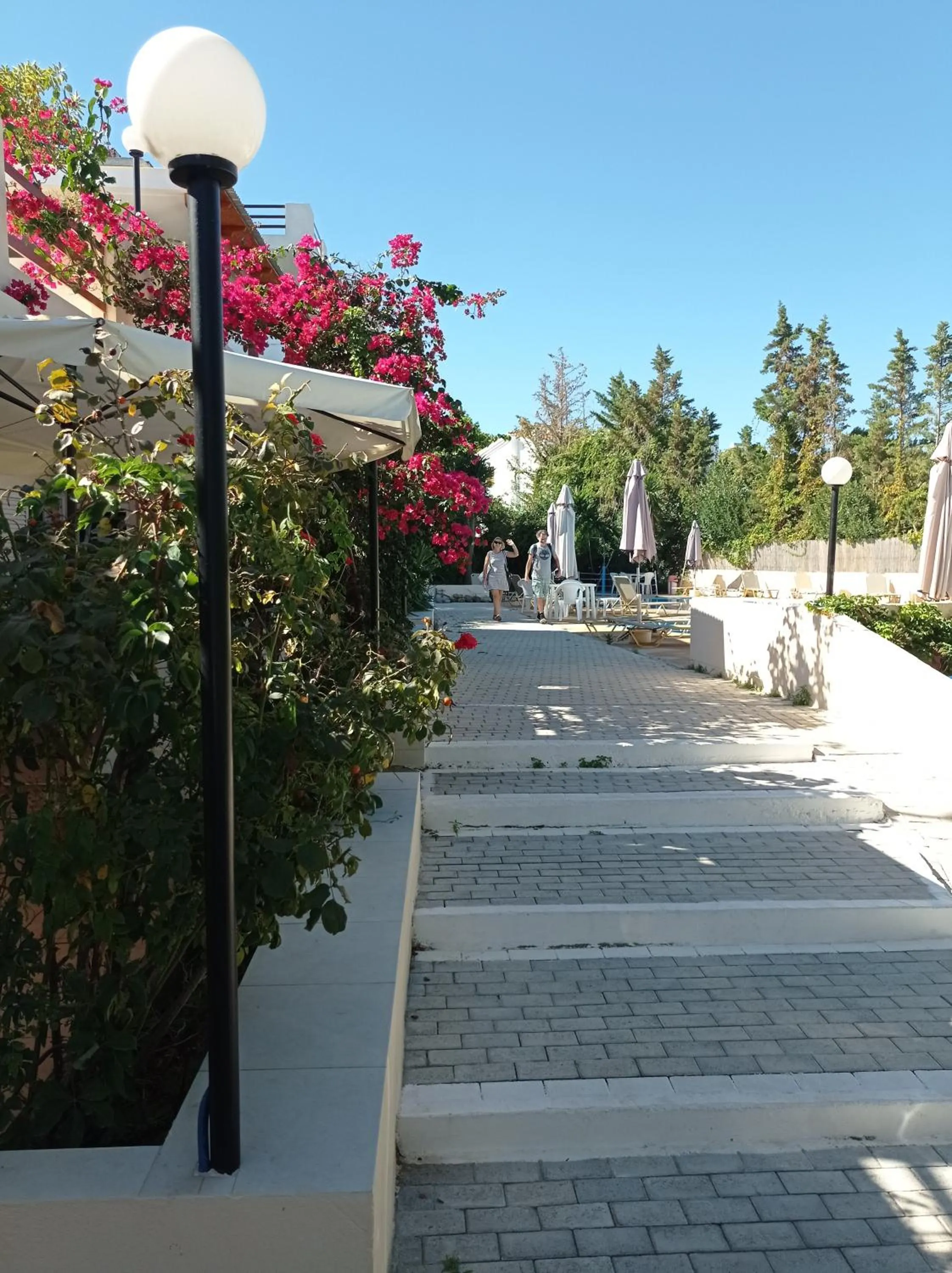 Garden in Alexandros Studios