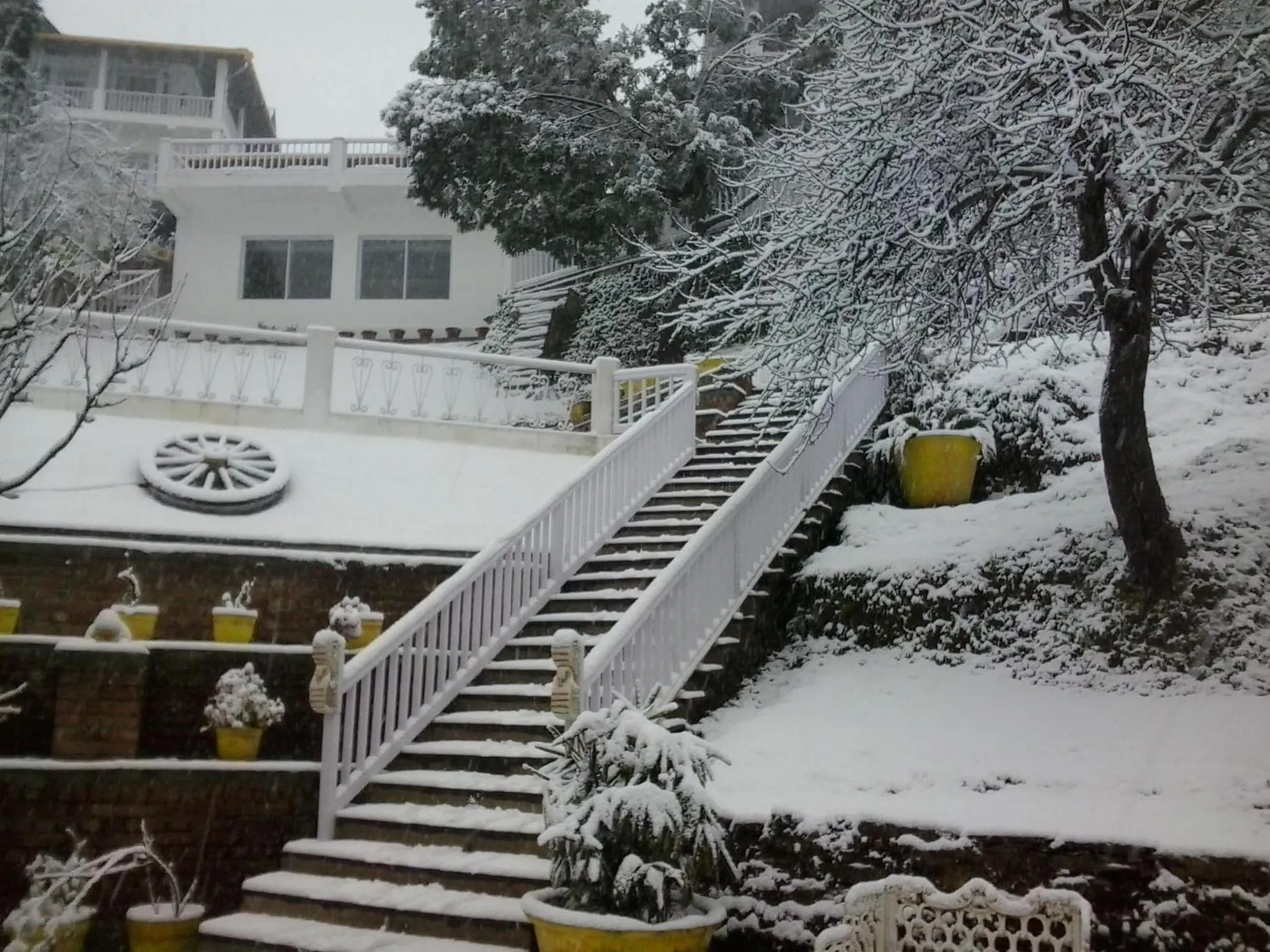 Property building in Te Aroha By Shervani