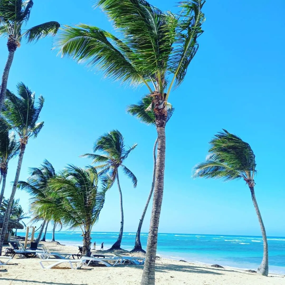 Beach in Playa Palmera Beach Resort