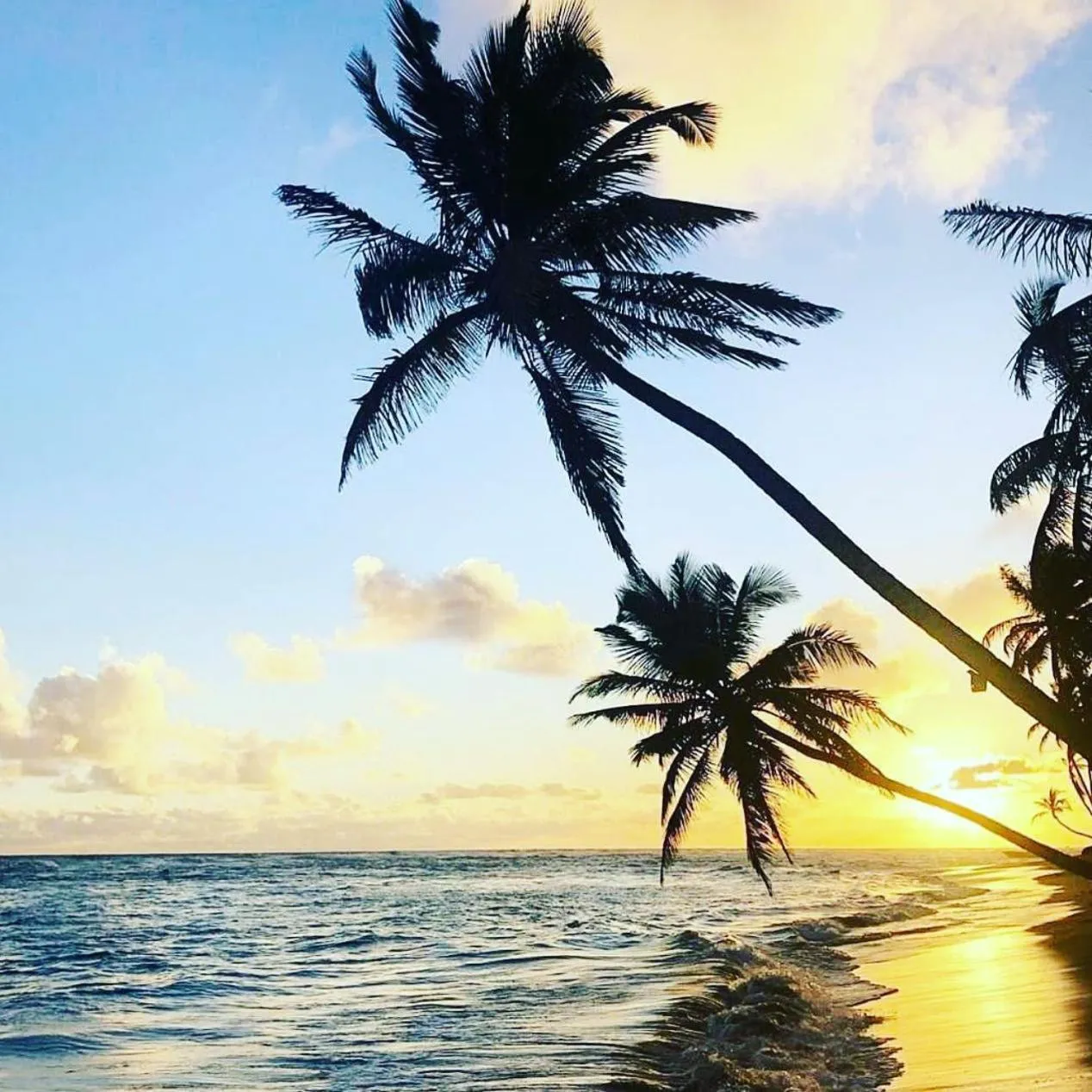 Playa Palmera Beach Resort