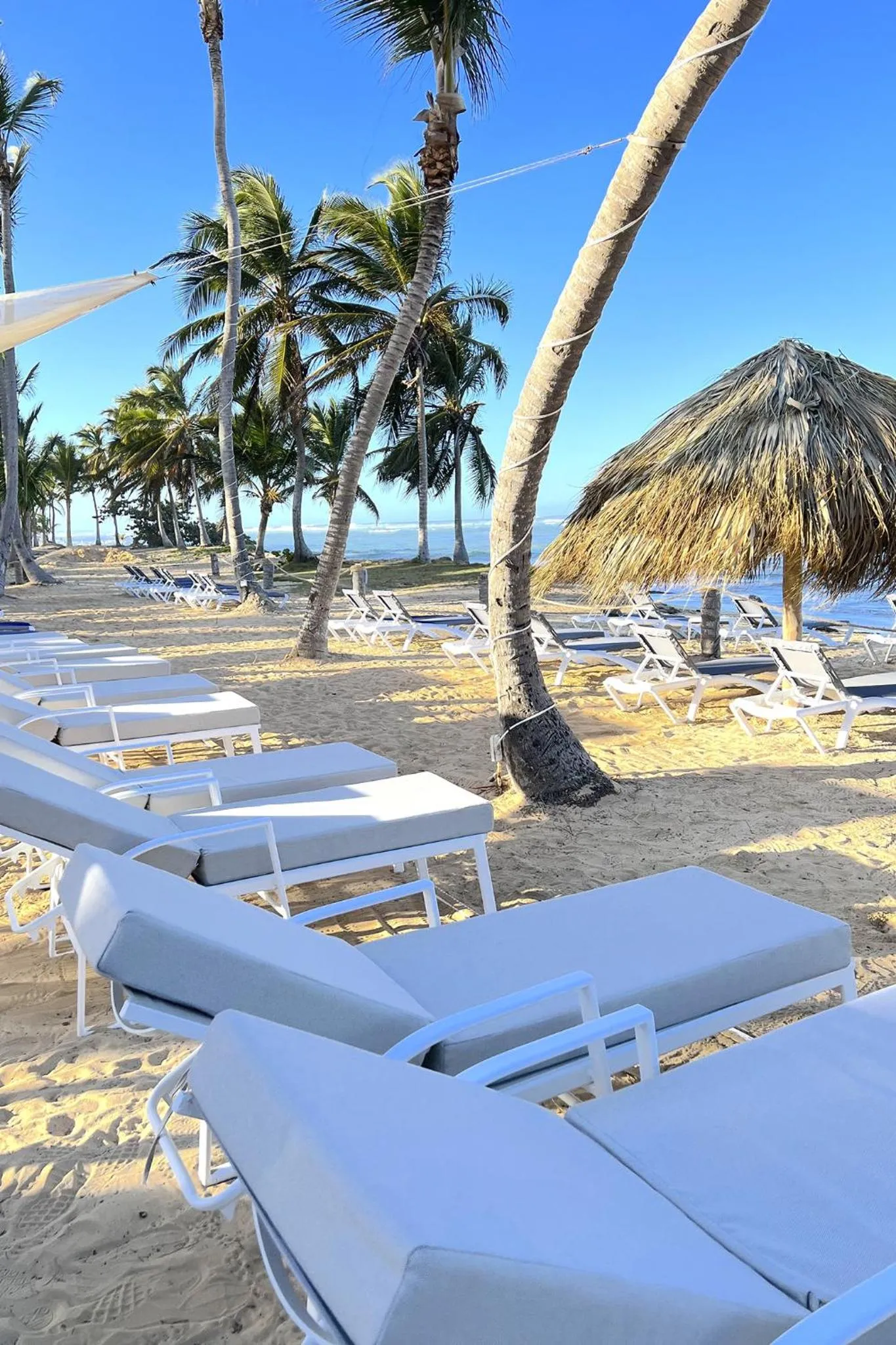 Beach in Playa Palmera Beach Resort