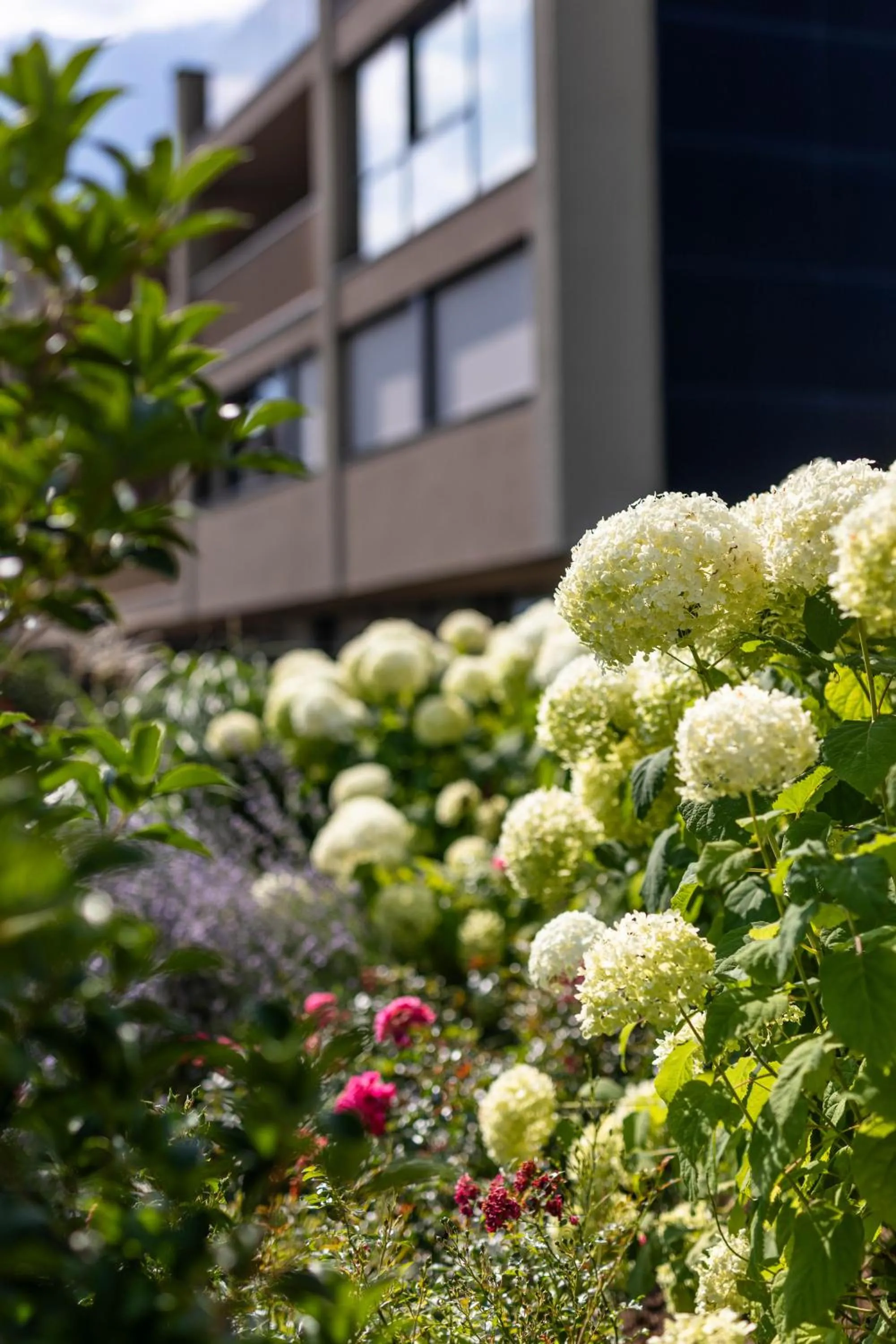 Boutique Hotel AMARIL