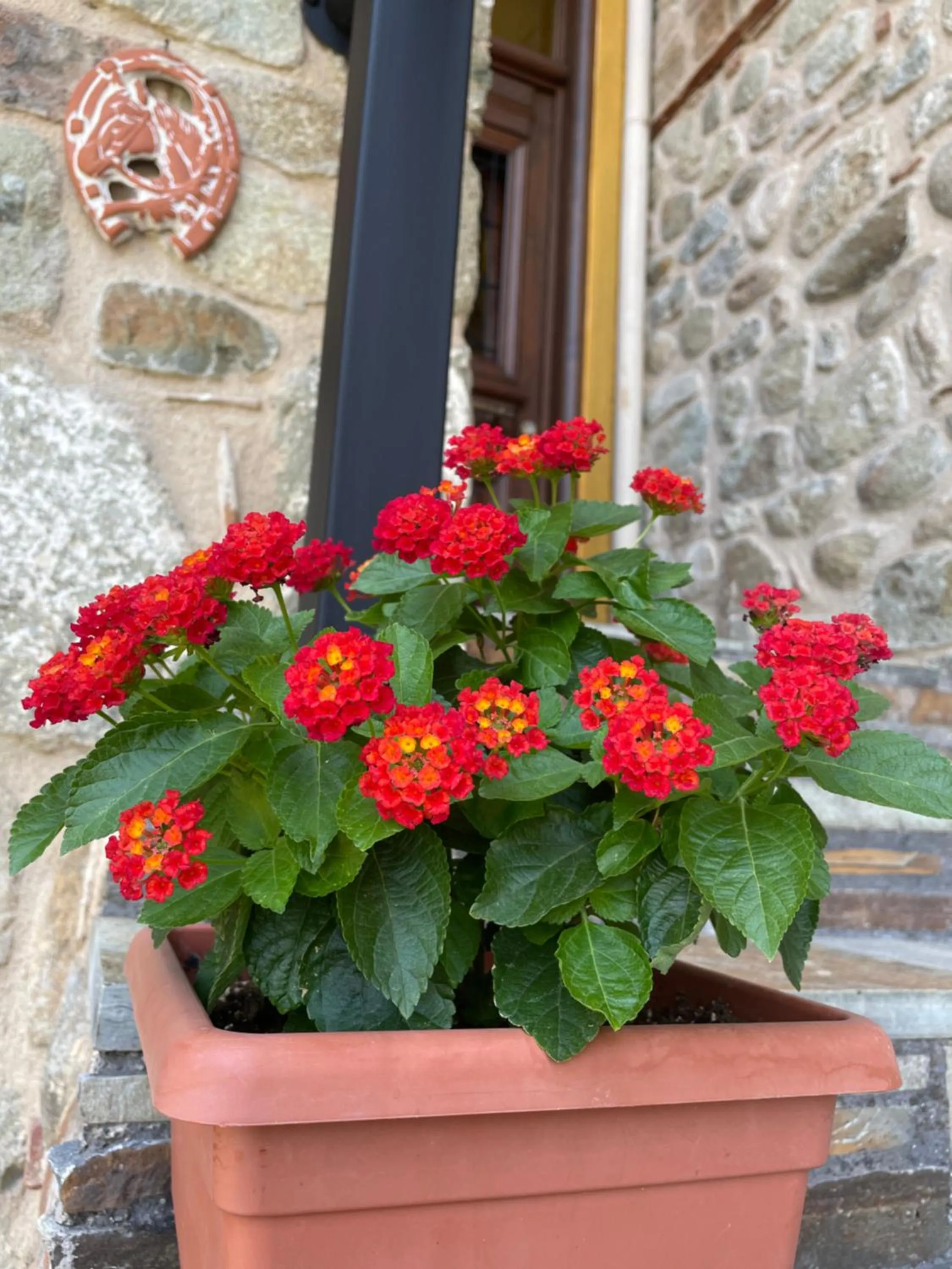 Patio in Archontiko Mesohori Meteora