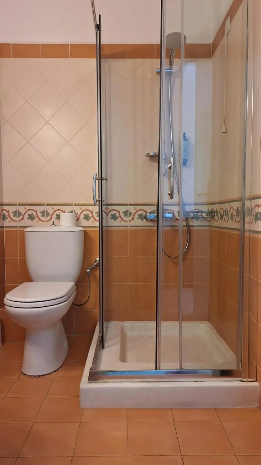 Shower in Brazzera Hotel