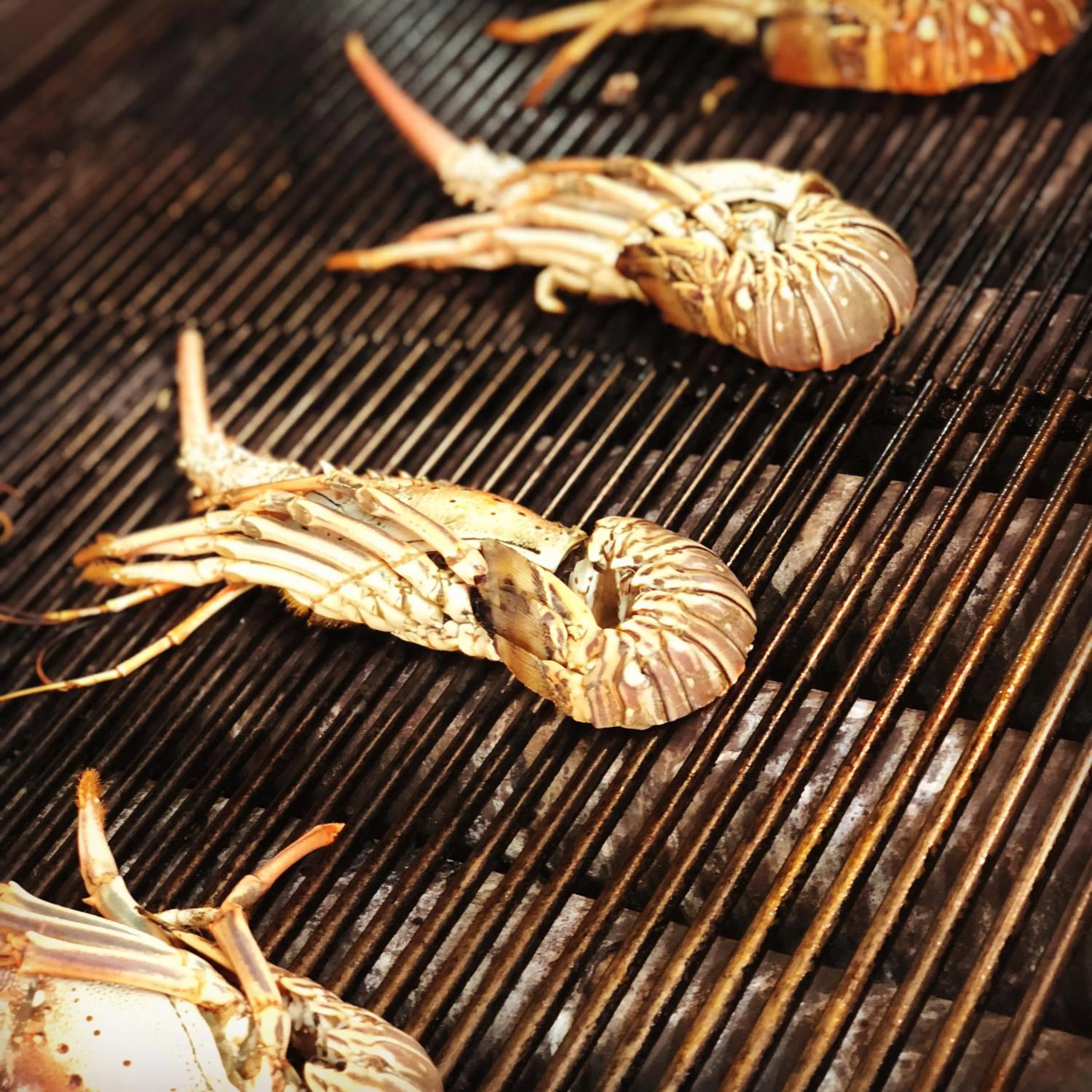 Restaurant/places to eat in King Saron Hotel Resort